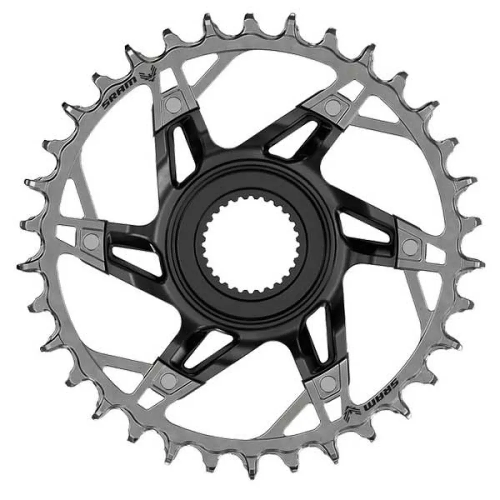 141851506.webp