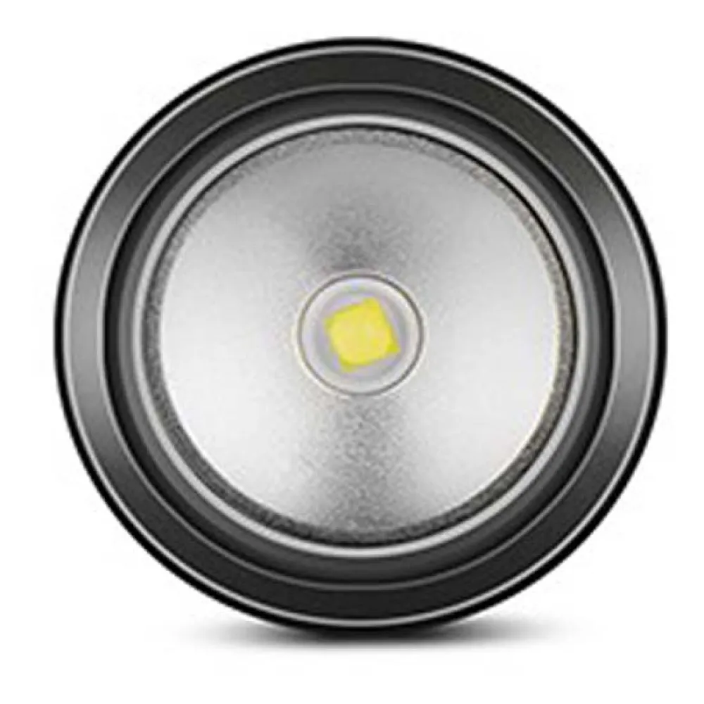 141913686_4.webp