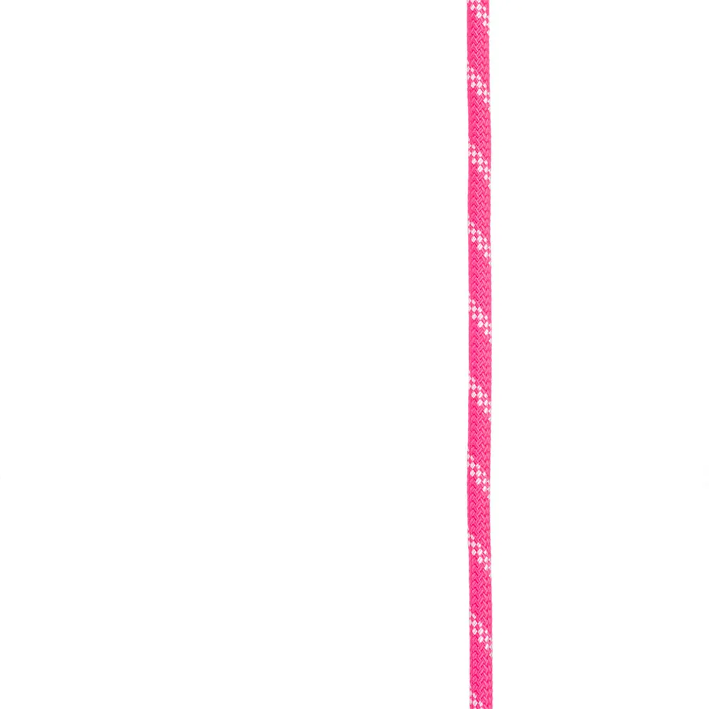 141920708.webp