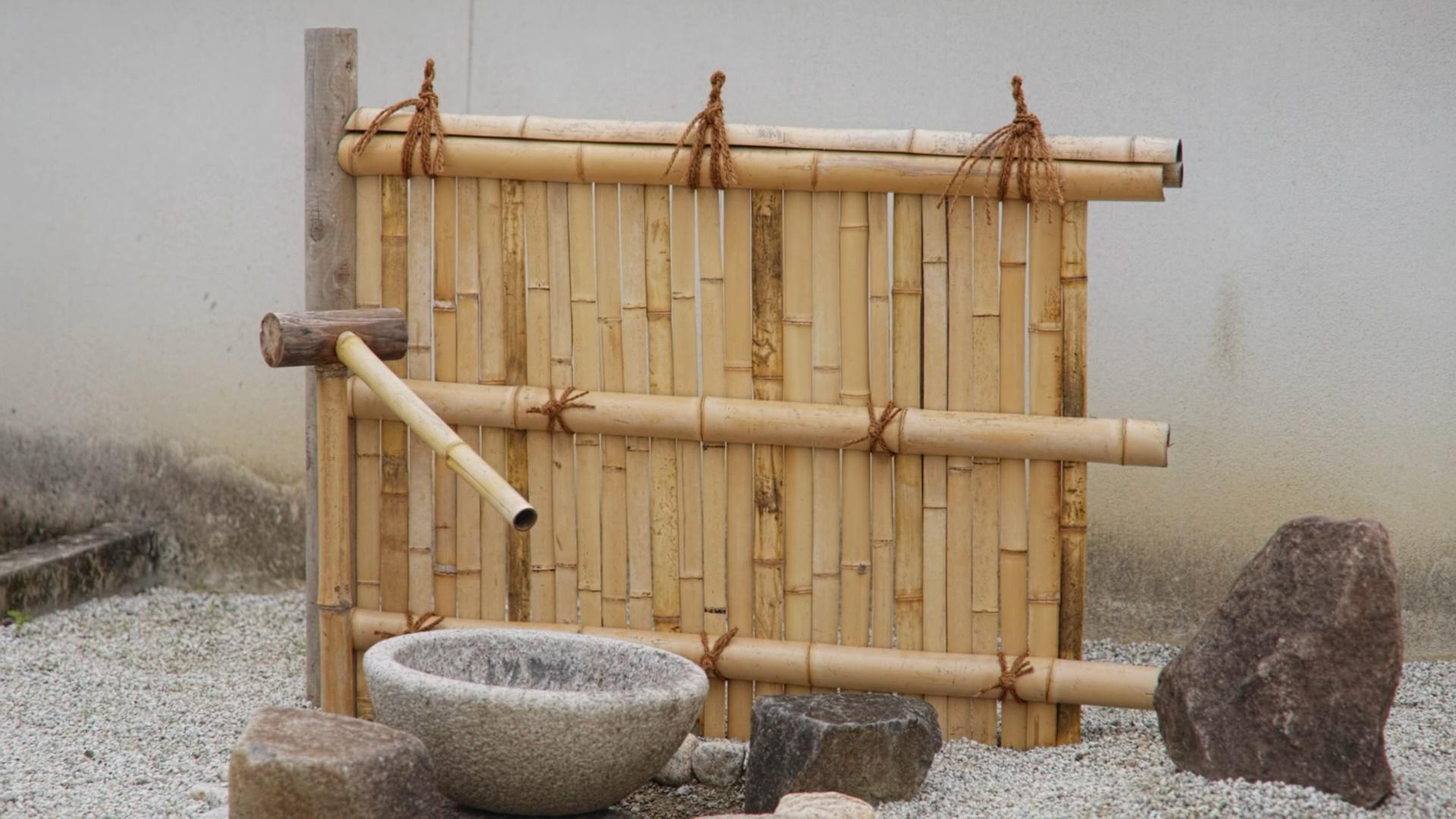 Shape the Practice Garden