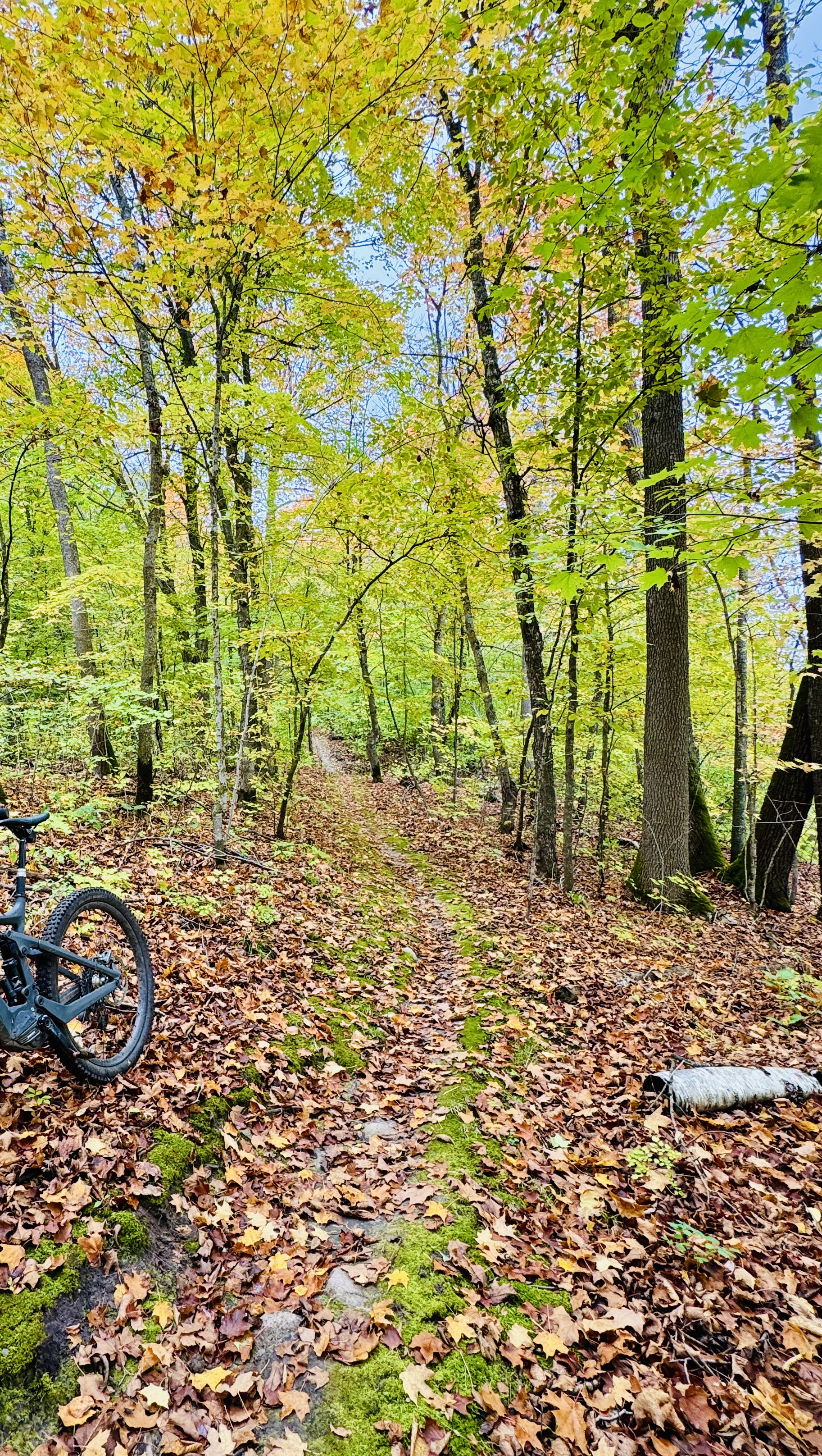 Trail status picture