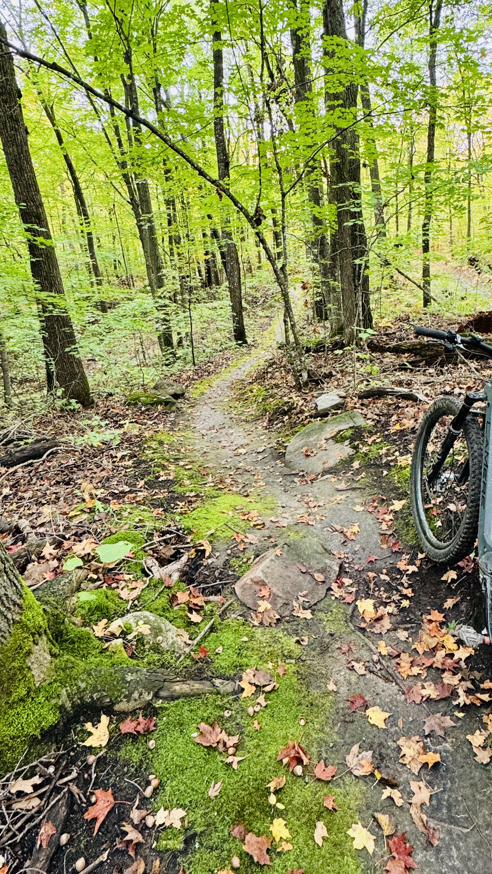 Trail status picture