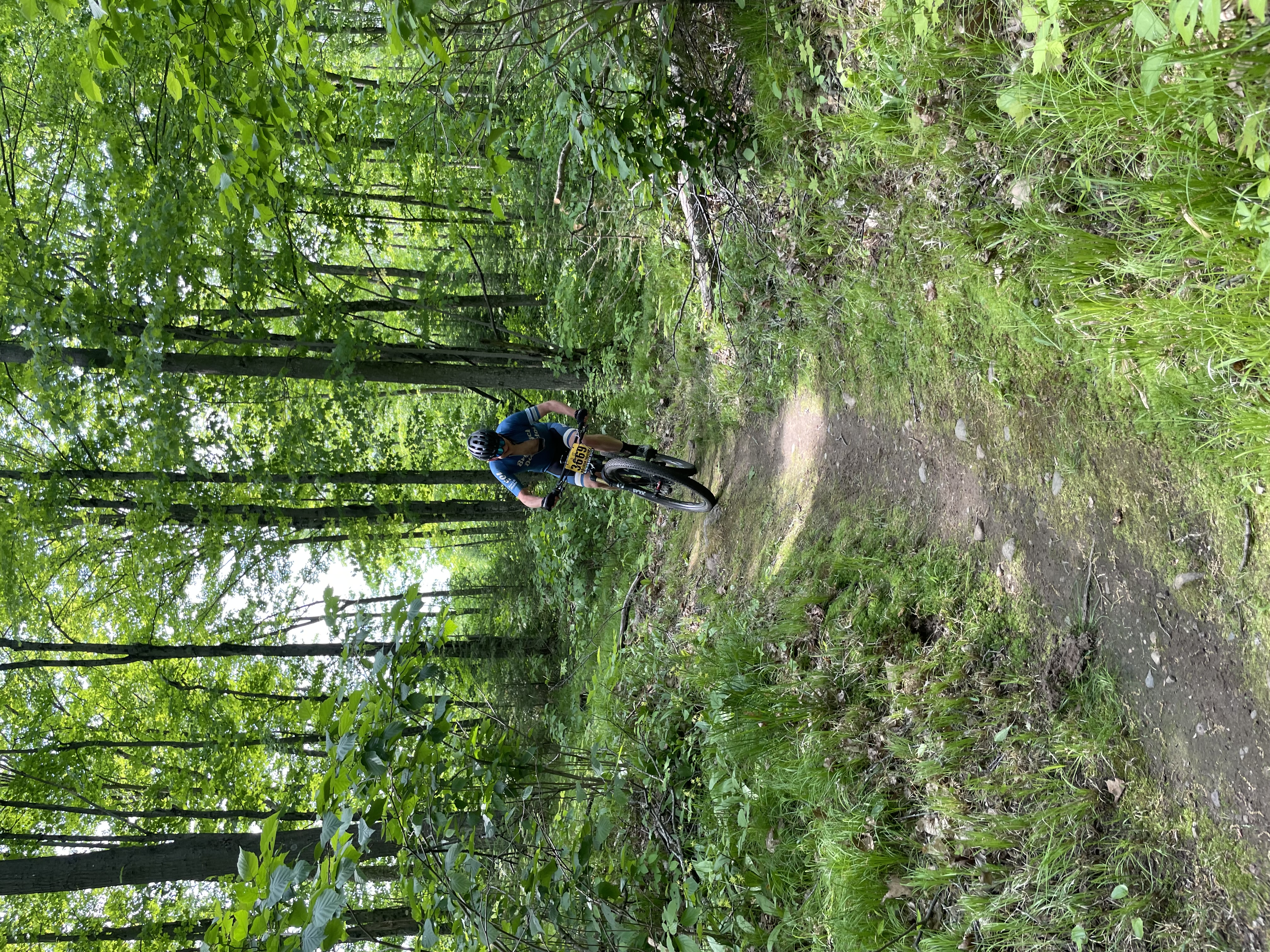 Trail status picture