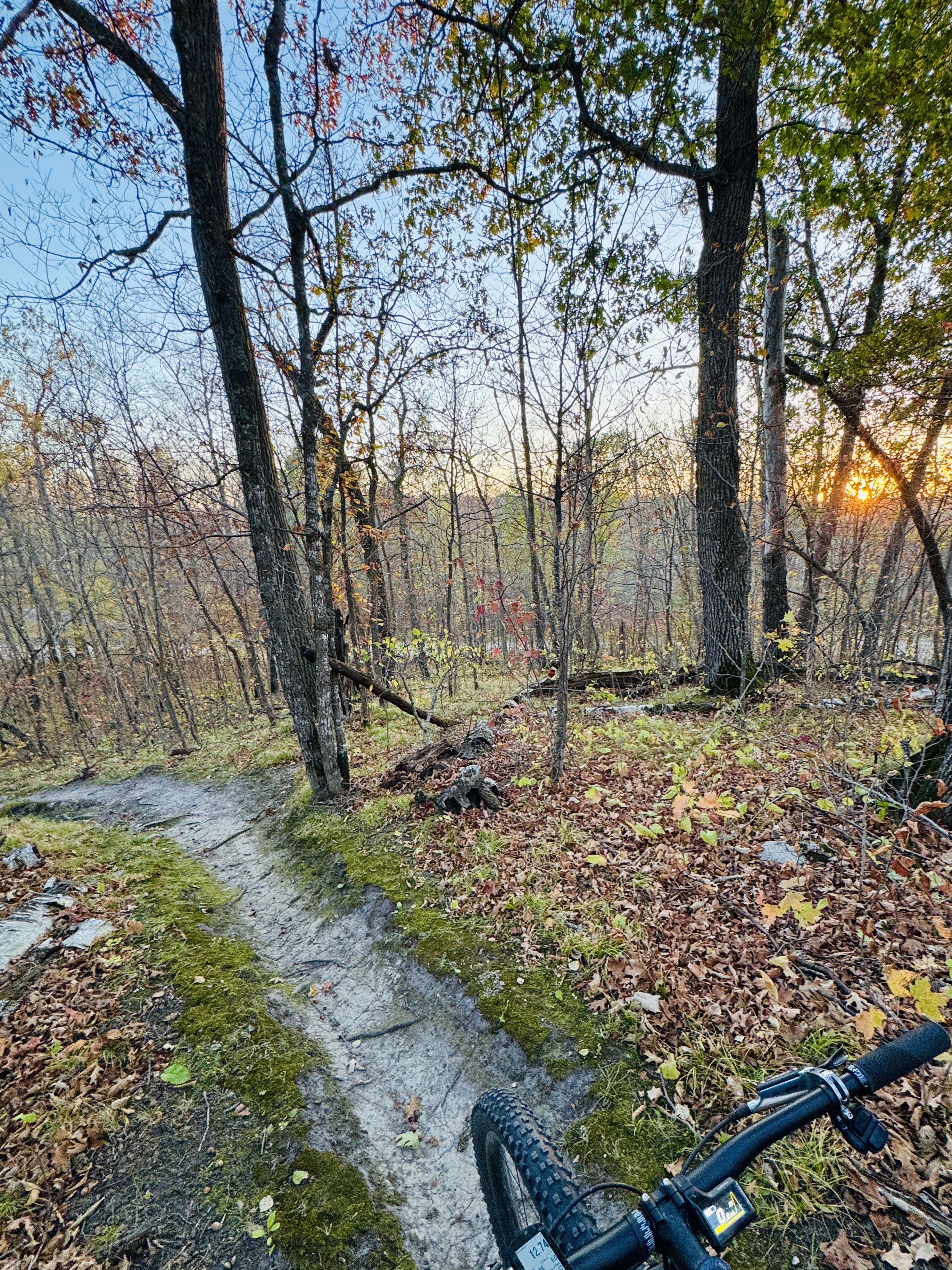 Trail status picture