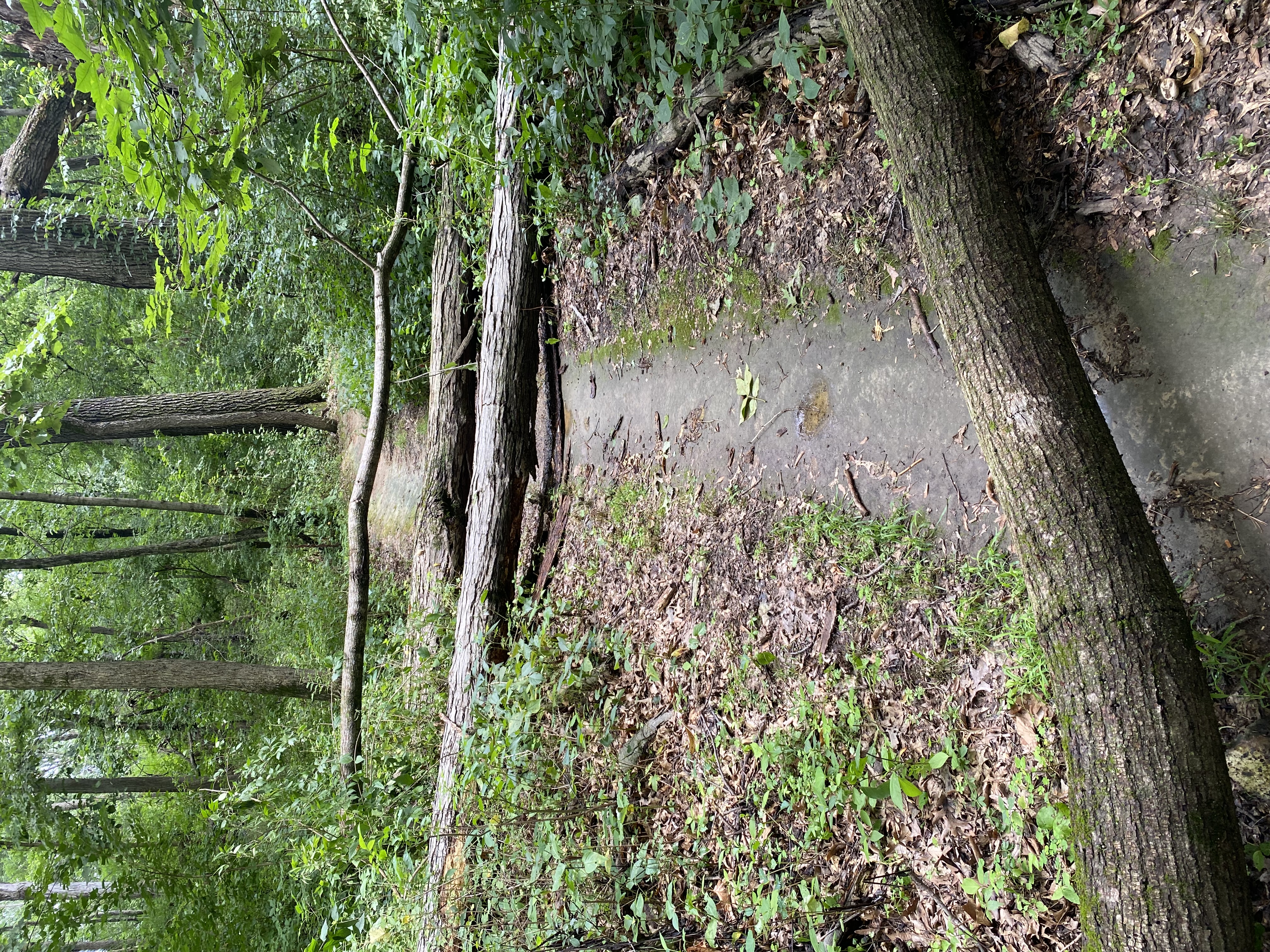 Trail status picture