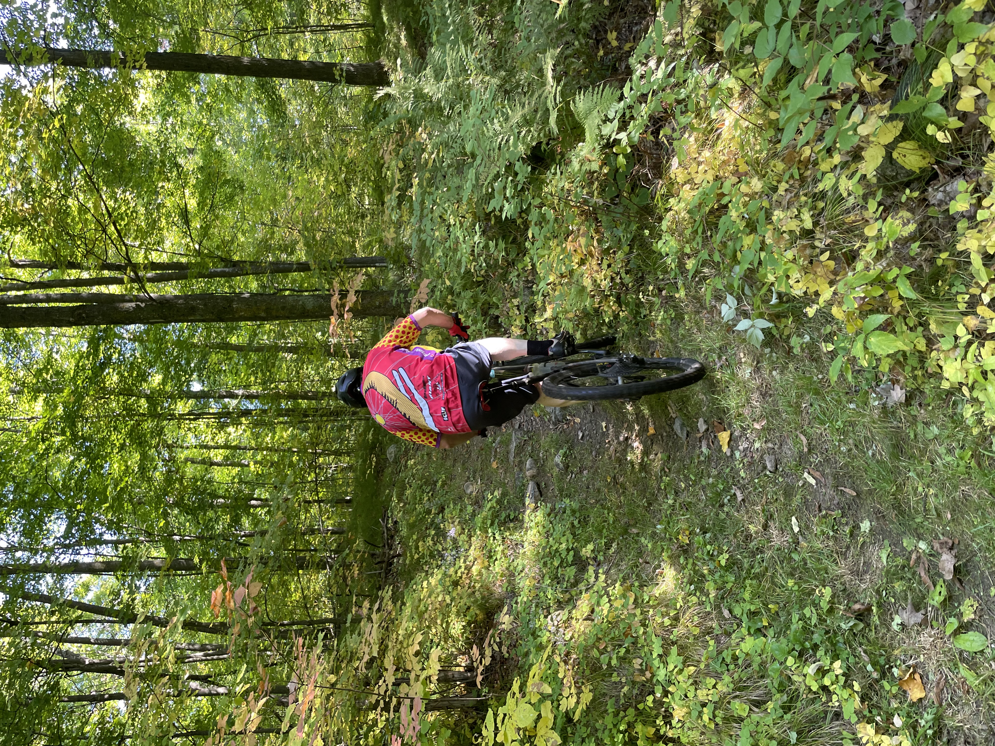 Trail status picture