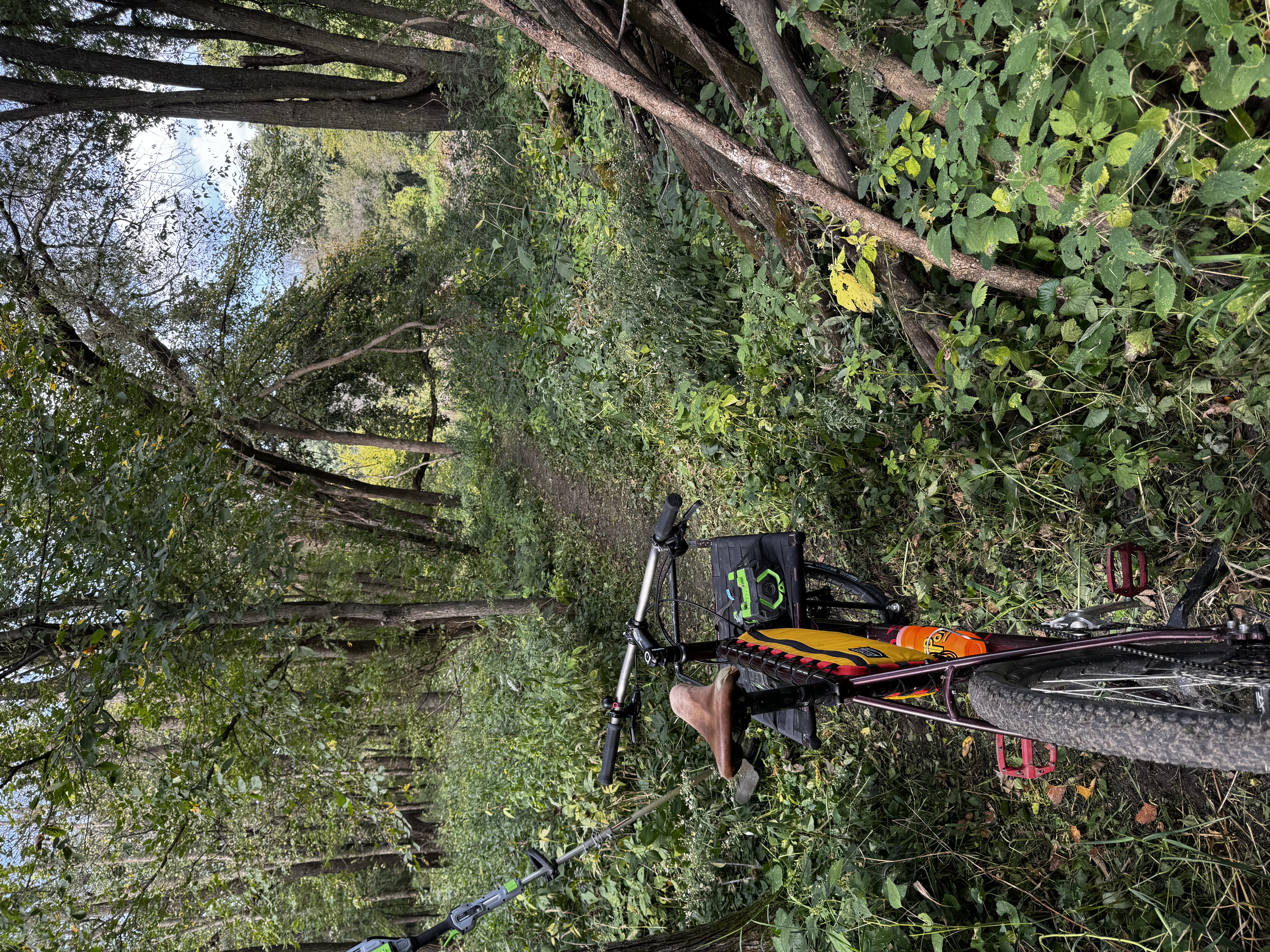 Trail status picture