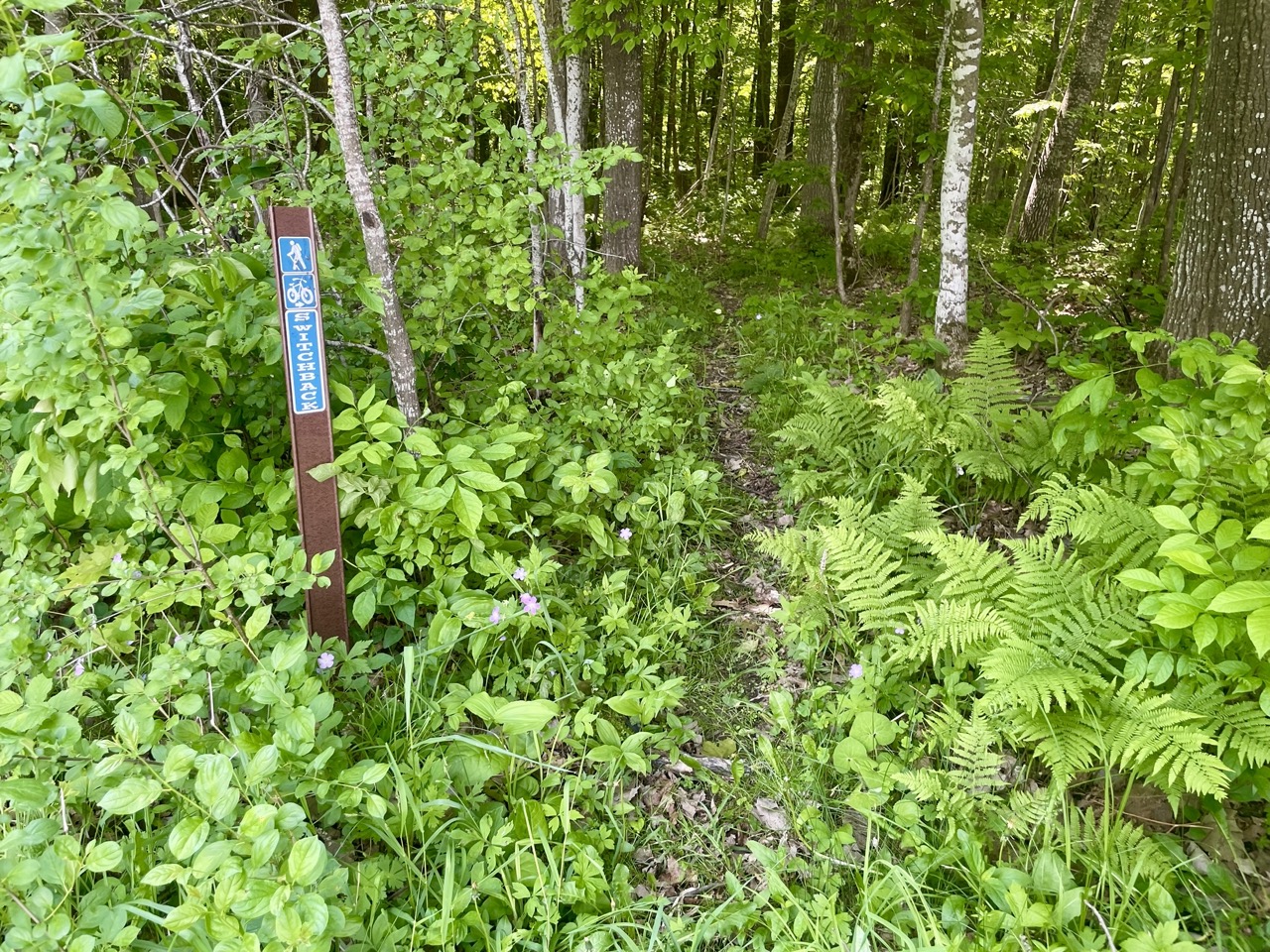 Trail status picture