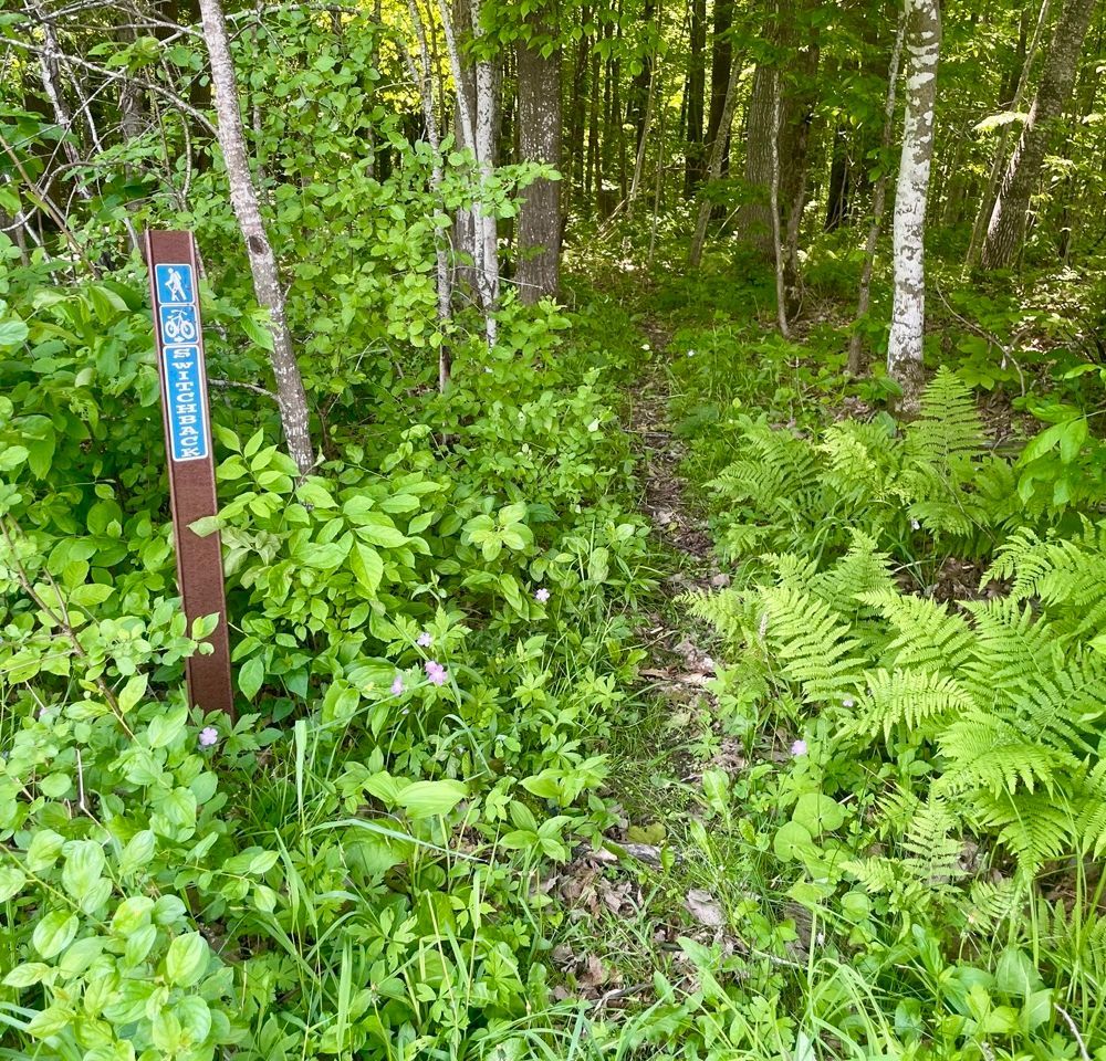 Trail status picture