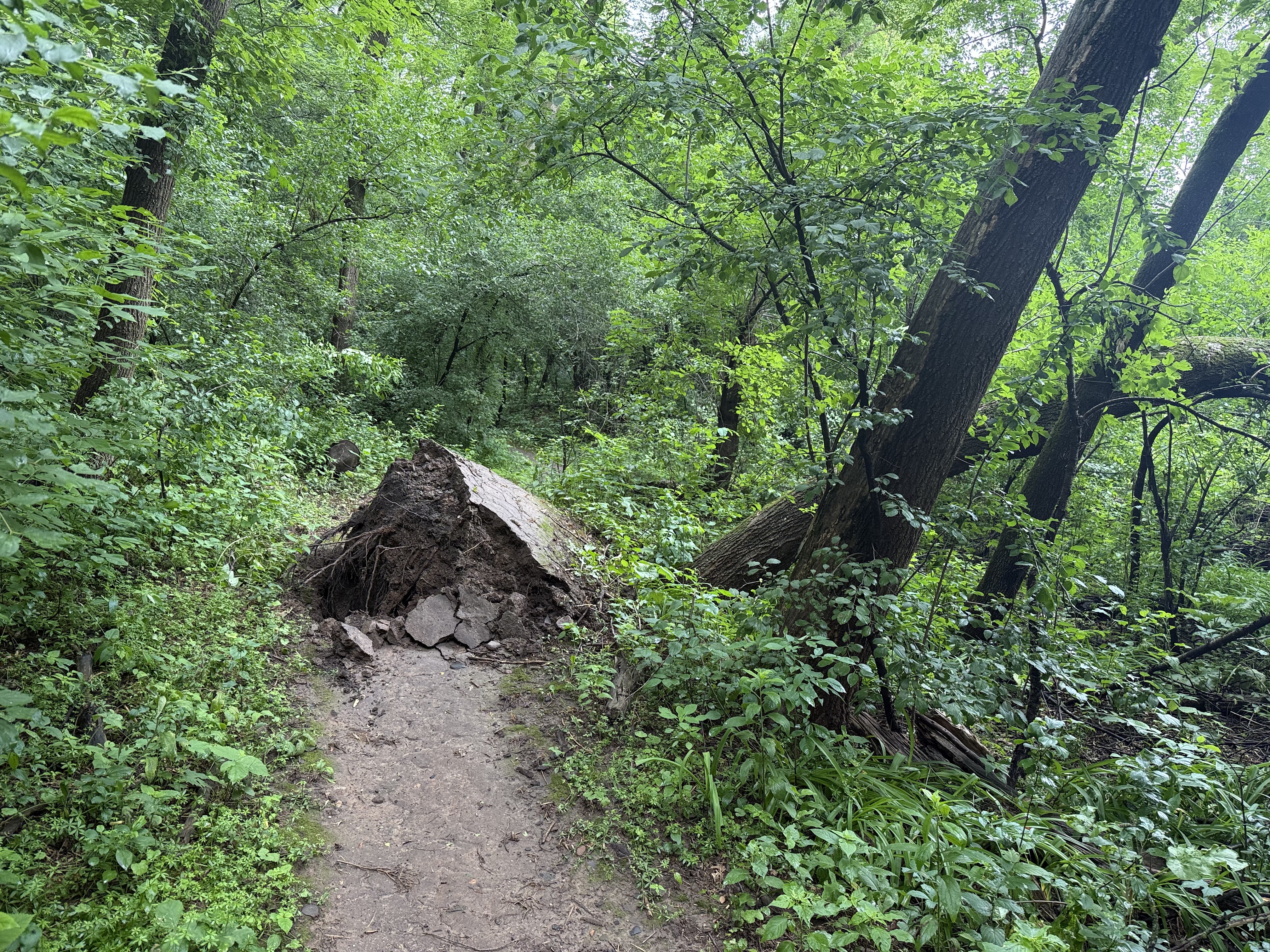 Trail status picture
