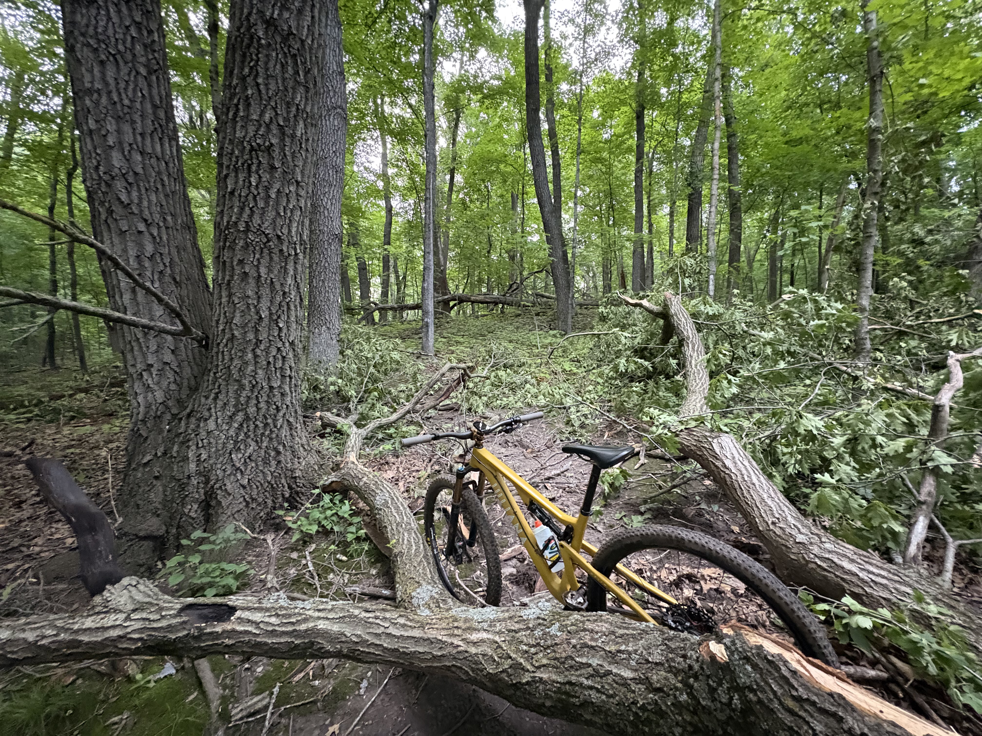 Trail status picture