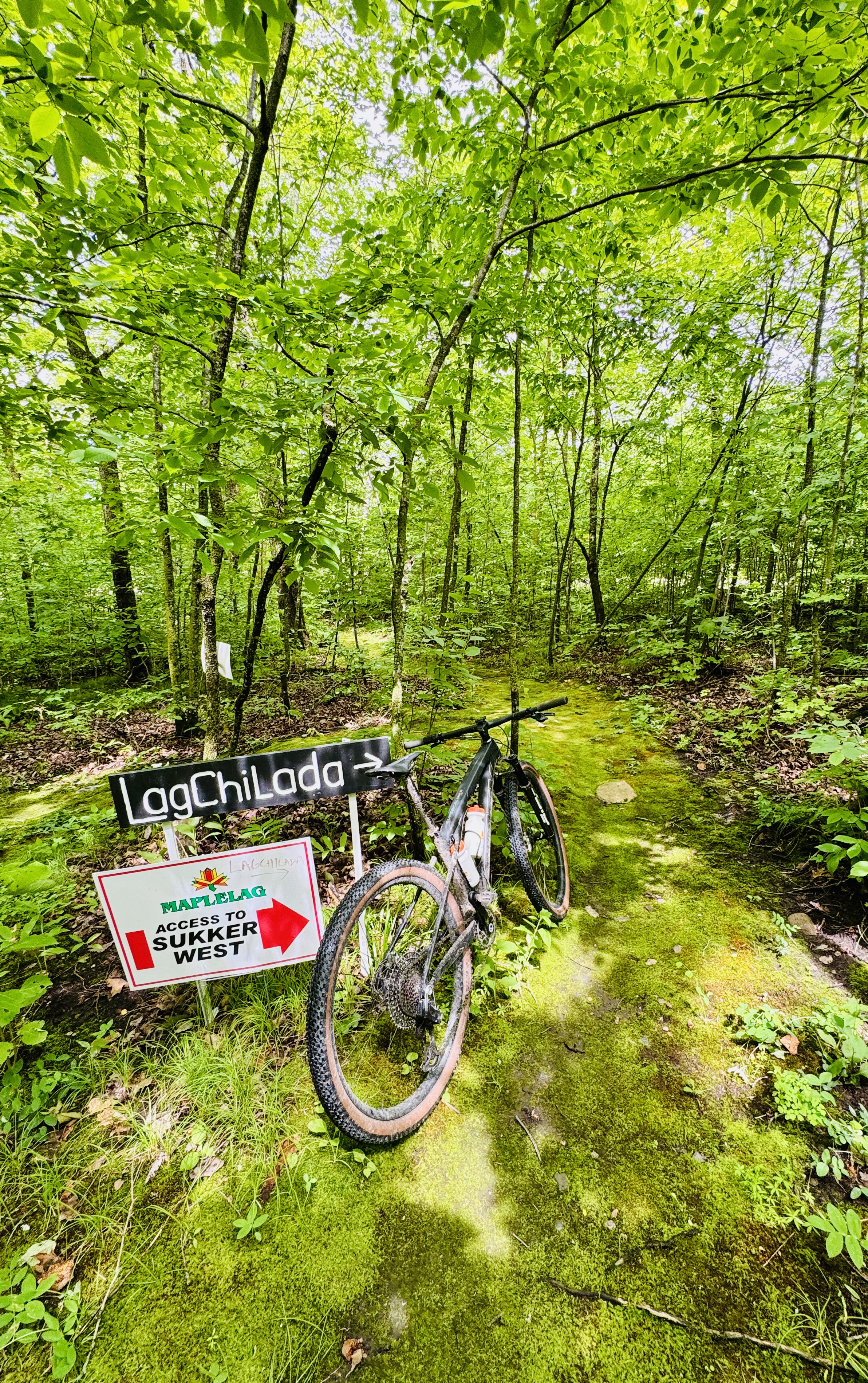 Trail status picture
