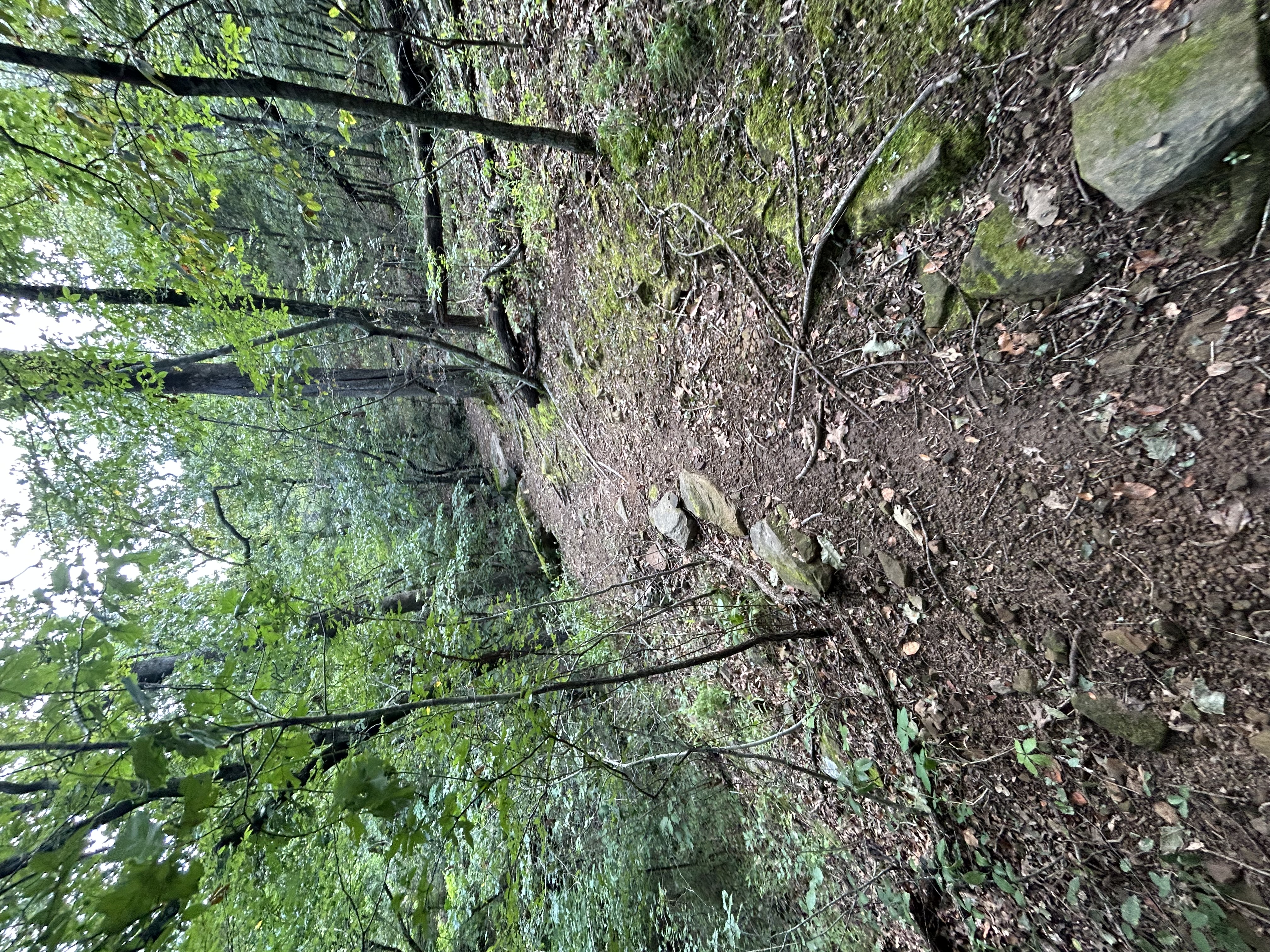 Trail status picture