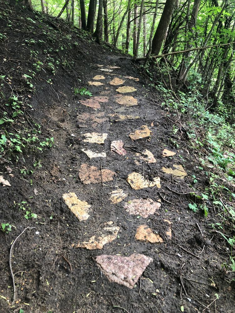 Trail status picture