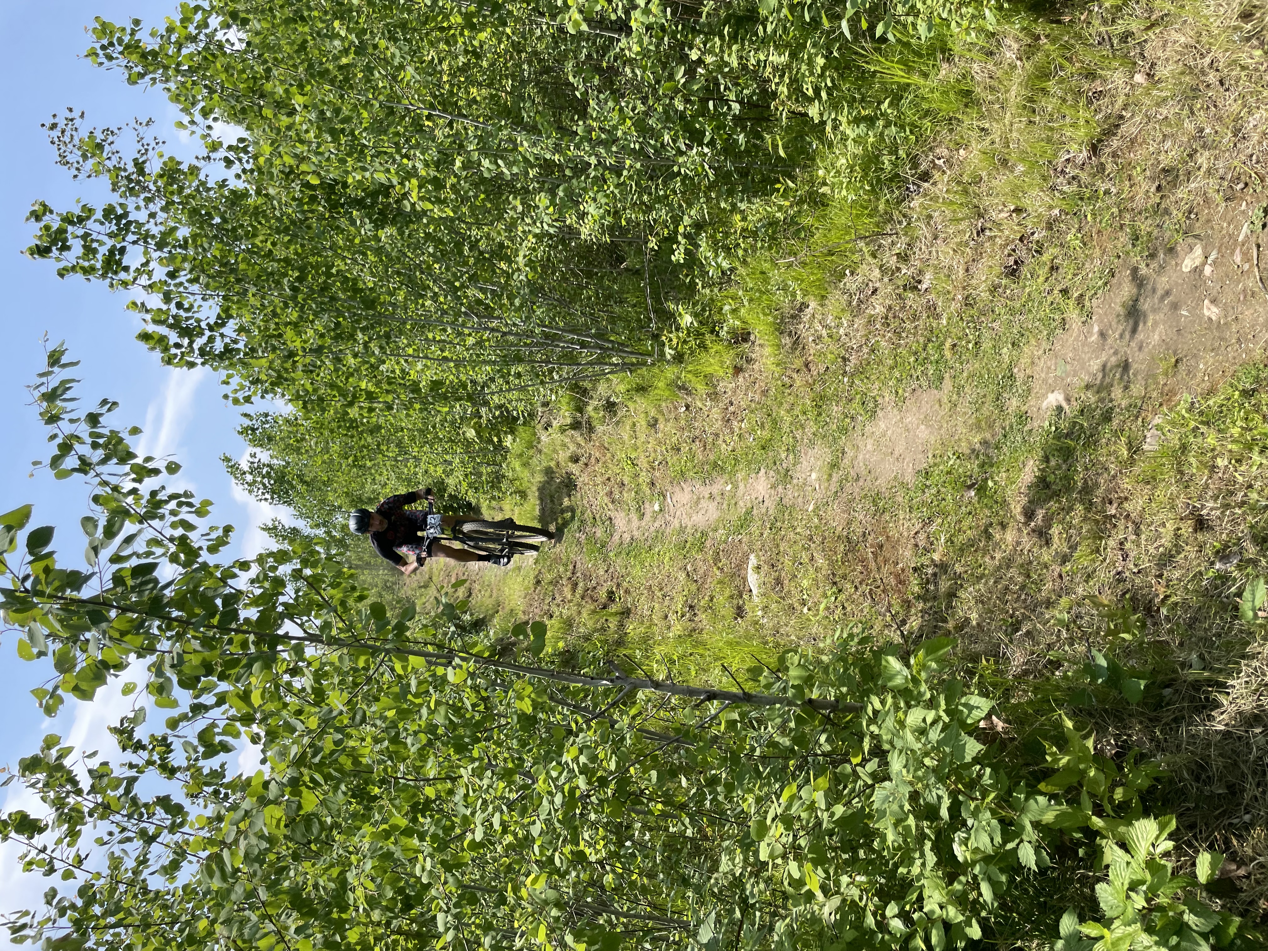 Trail status picture