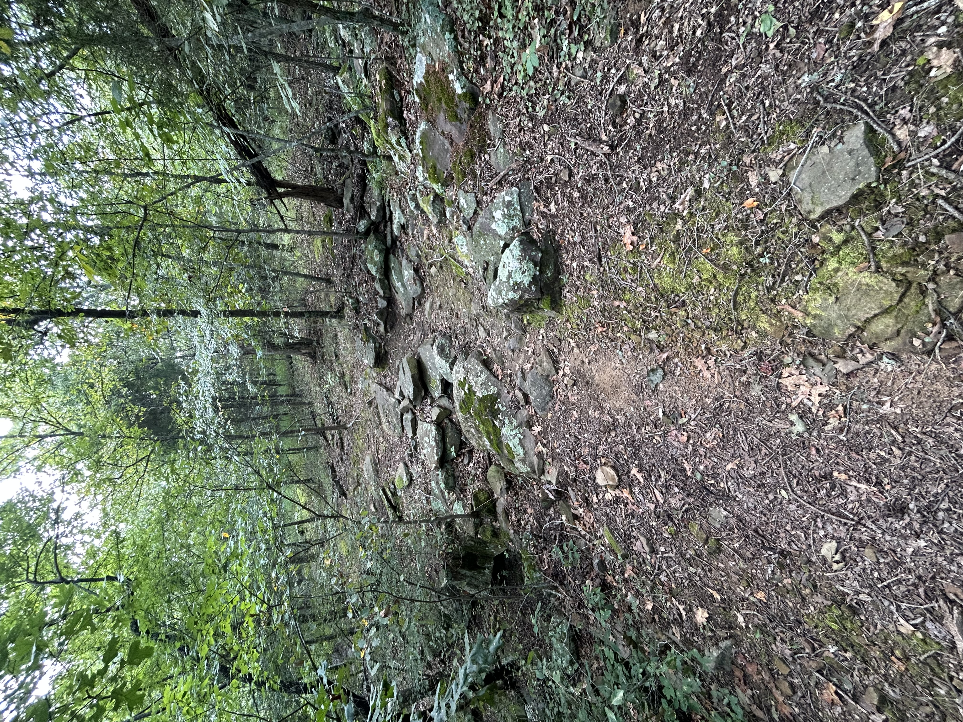 Trail status picture