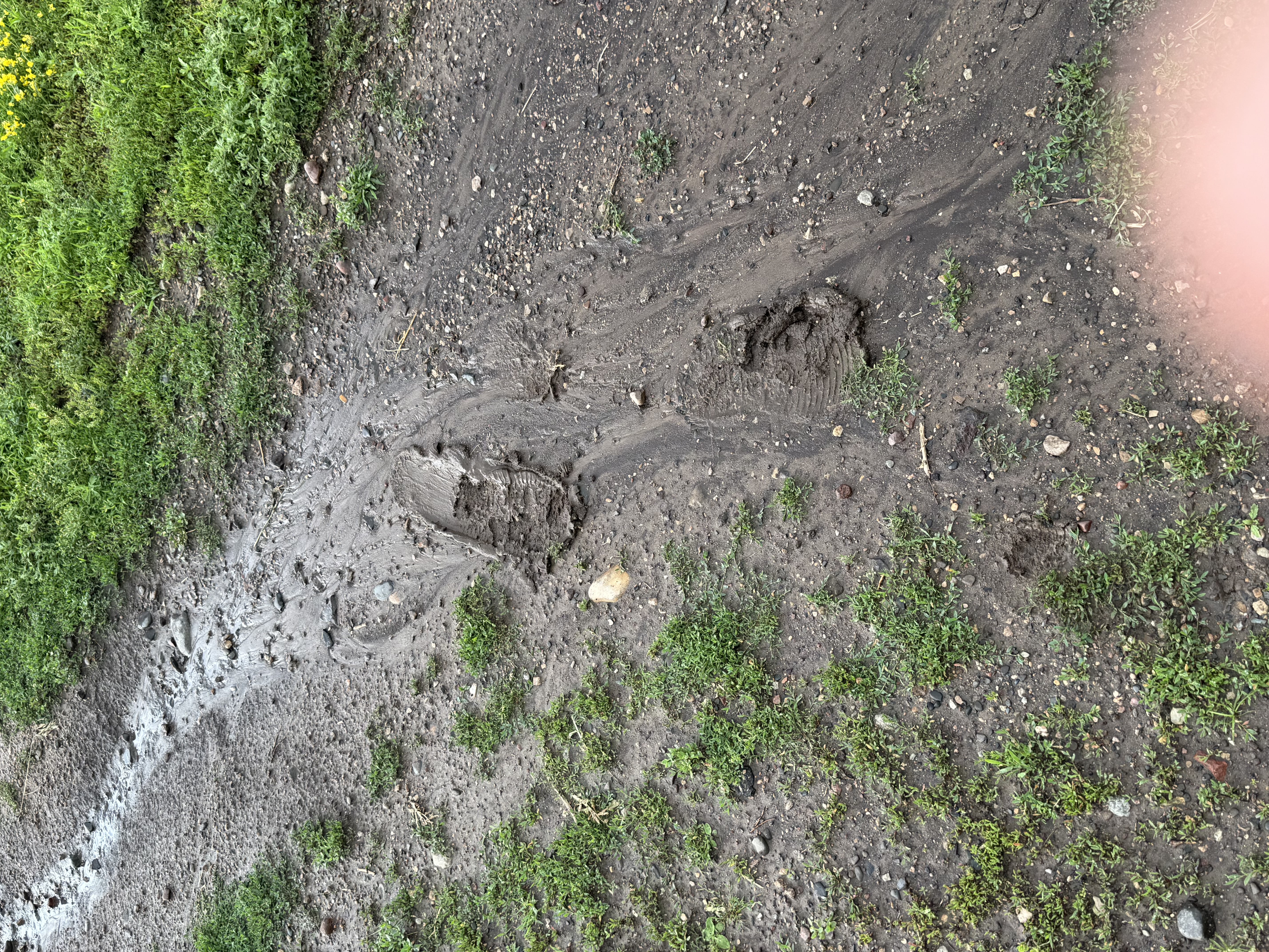 Trail status picture
