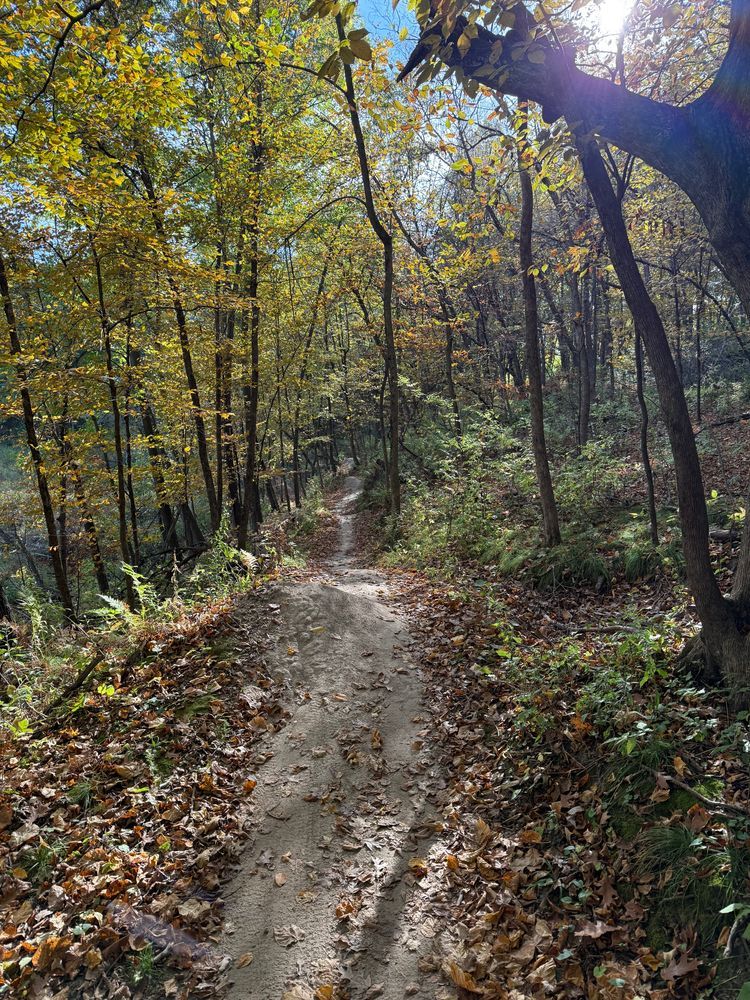 Trail status picture
