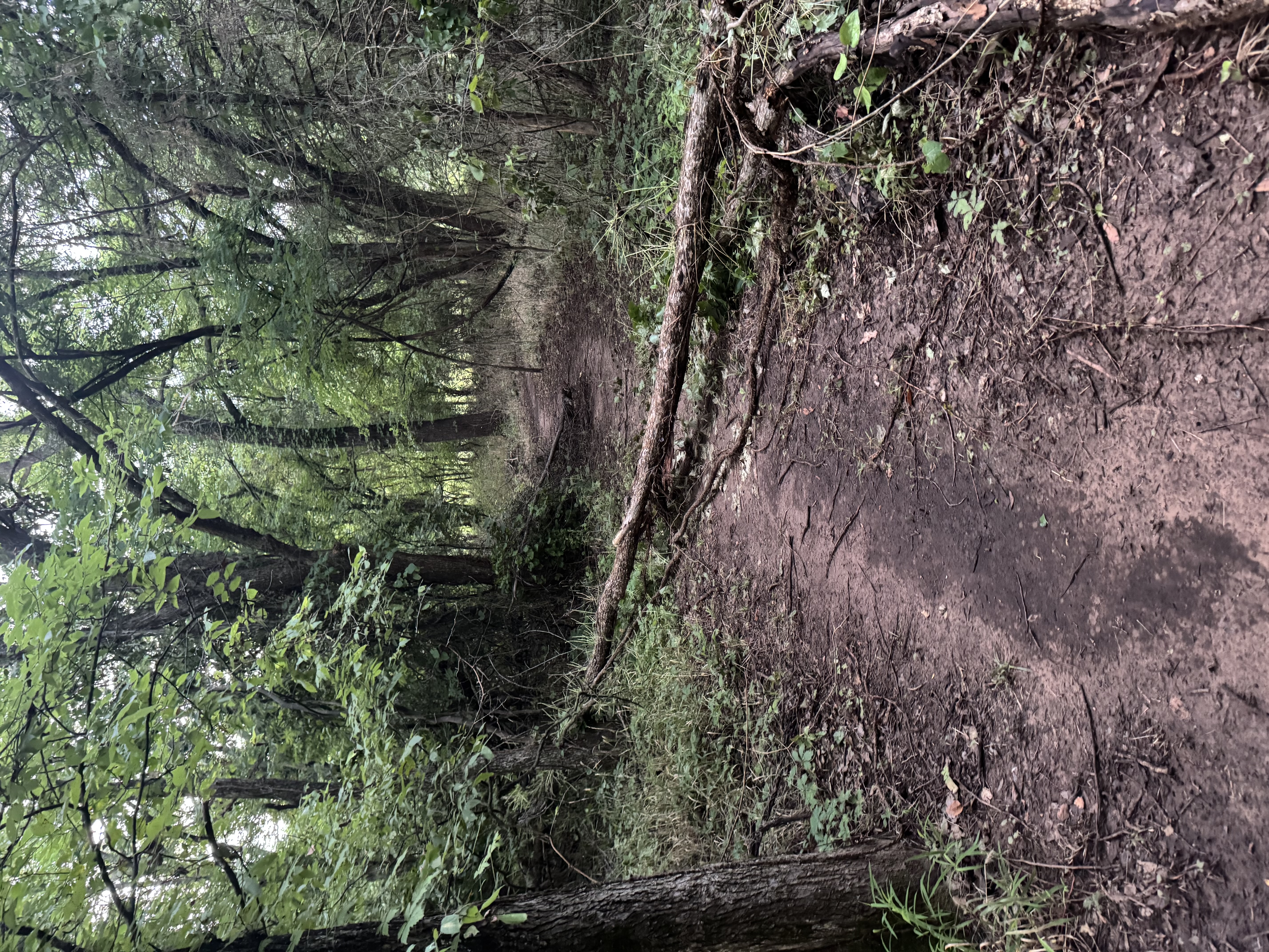 Trail status picture