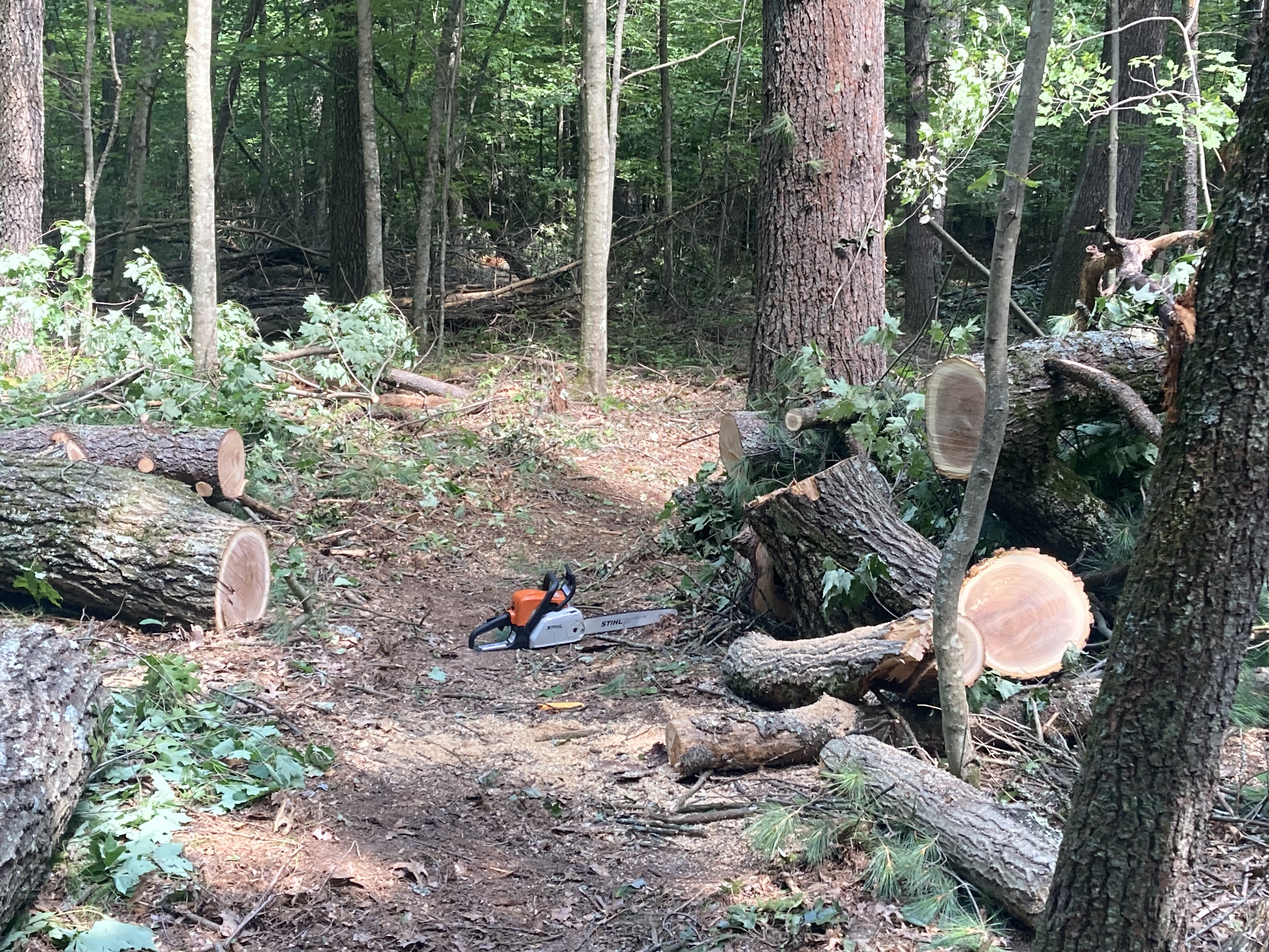 Trail status picture