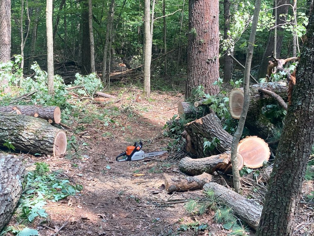 Trail status picture