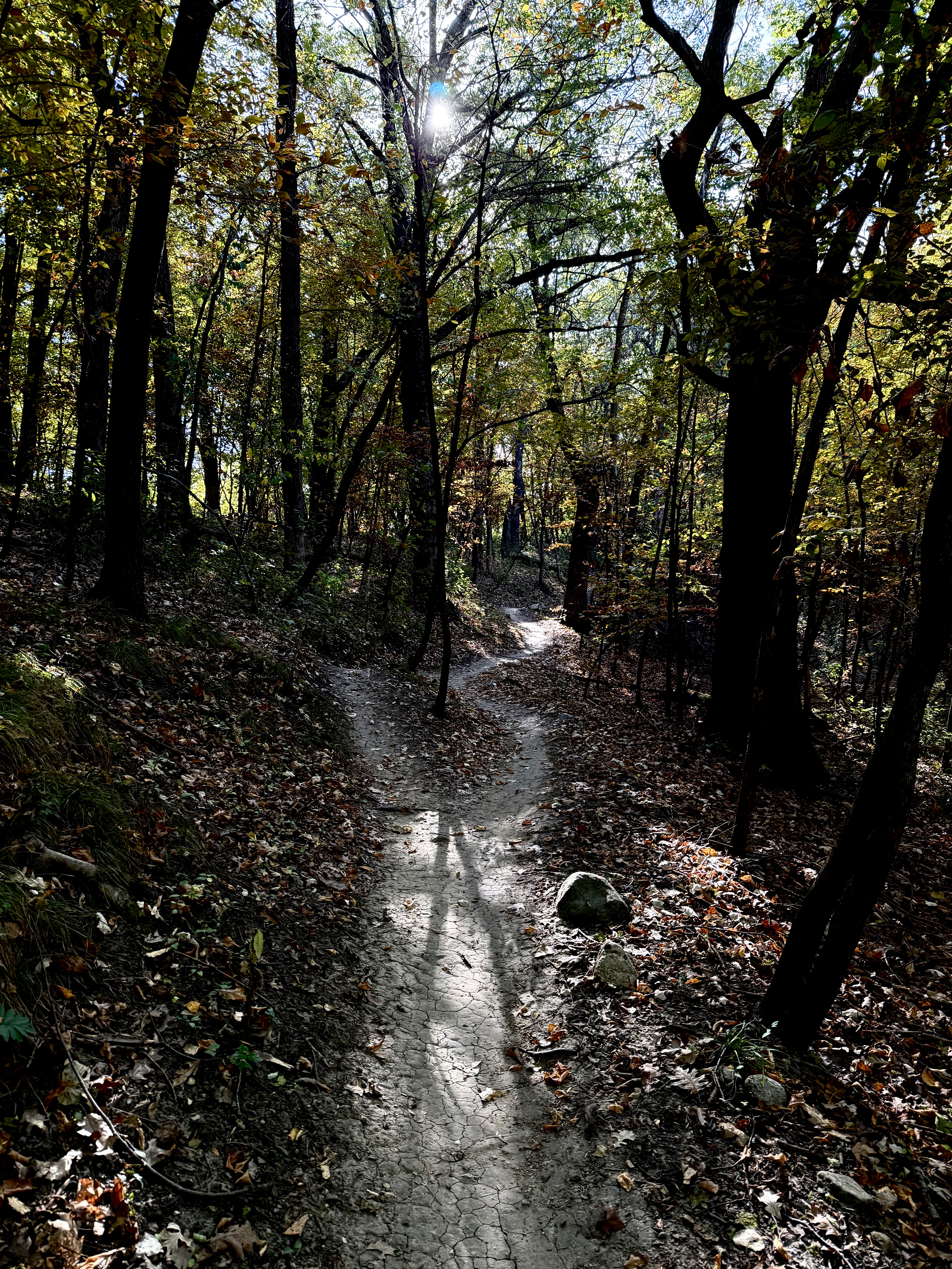 Trail status picture
