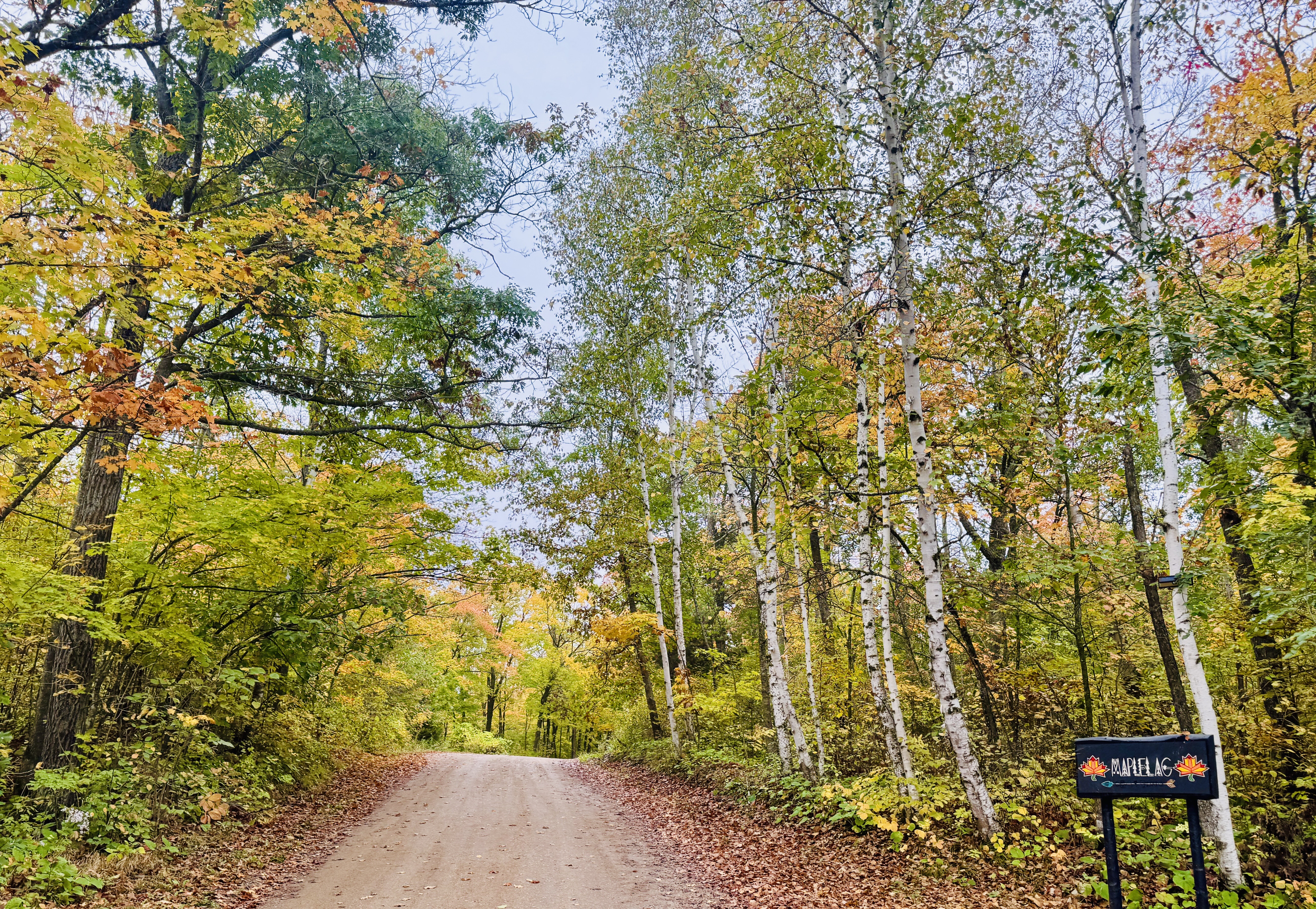 Trail status picture