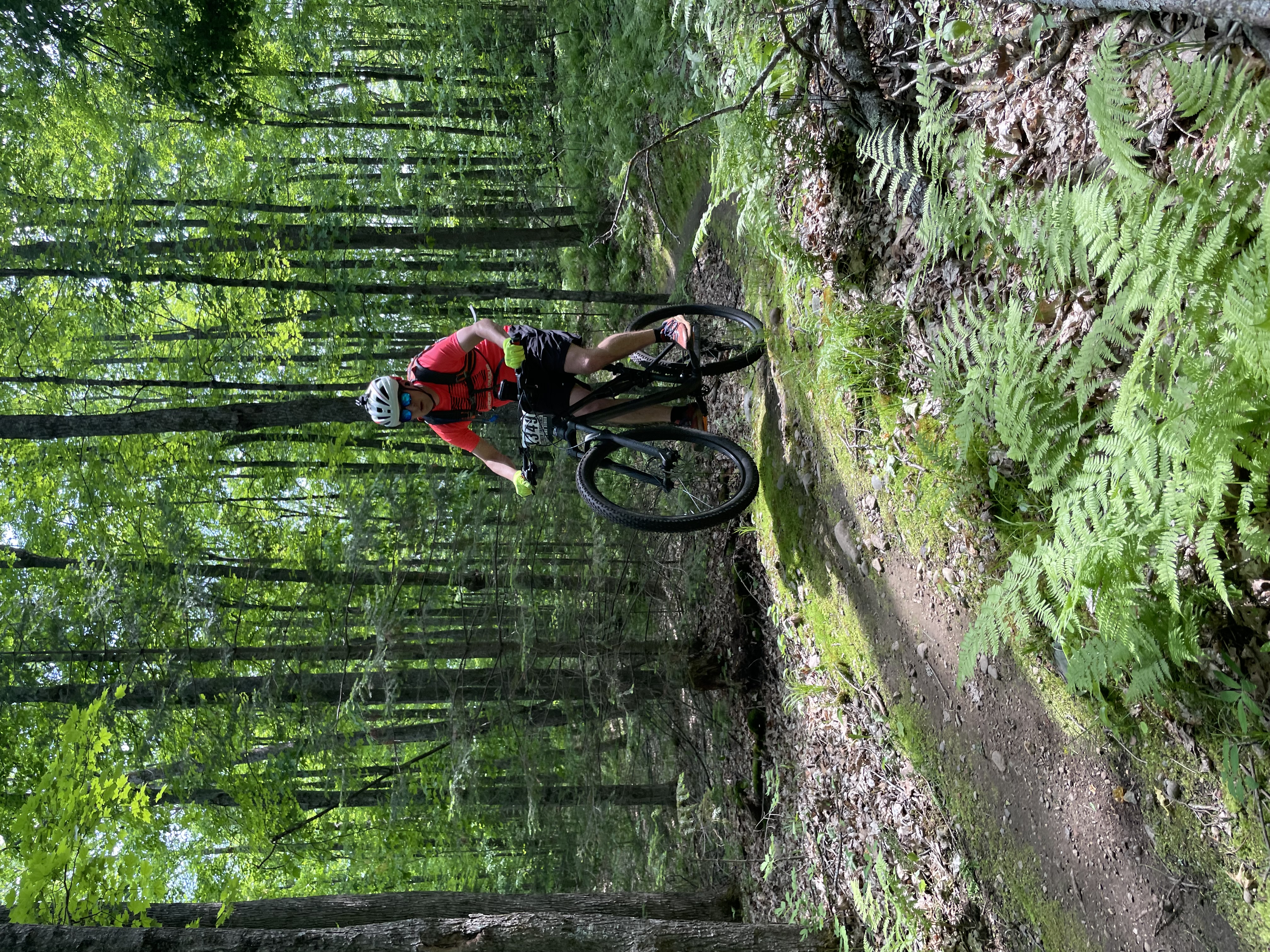 Trail status picture