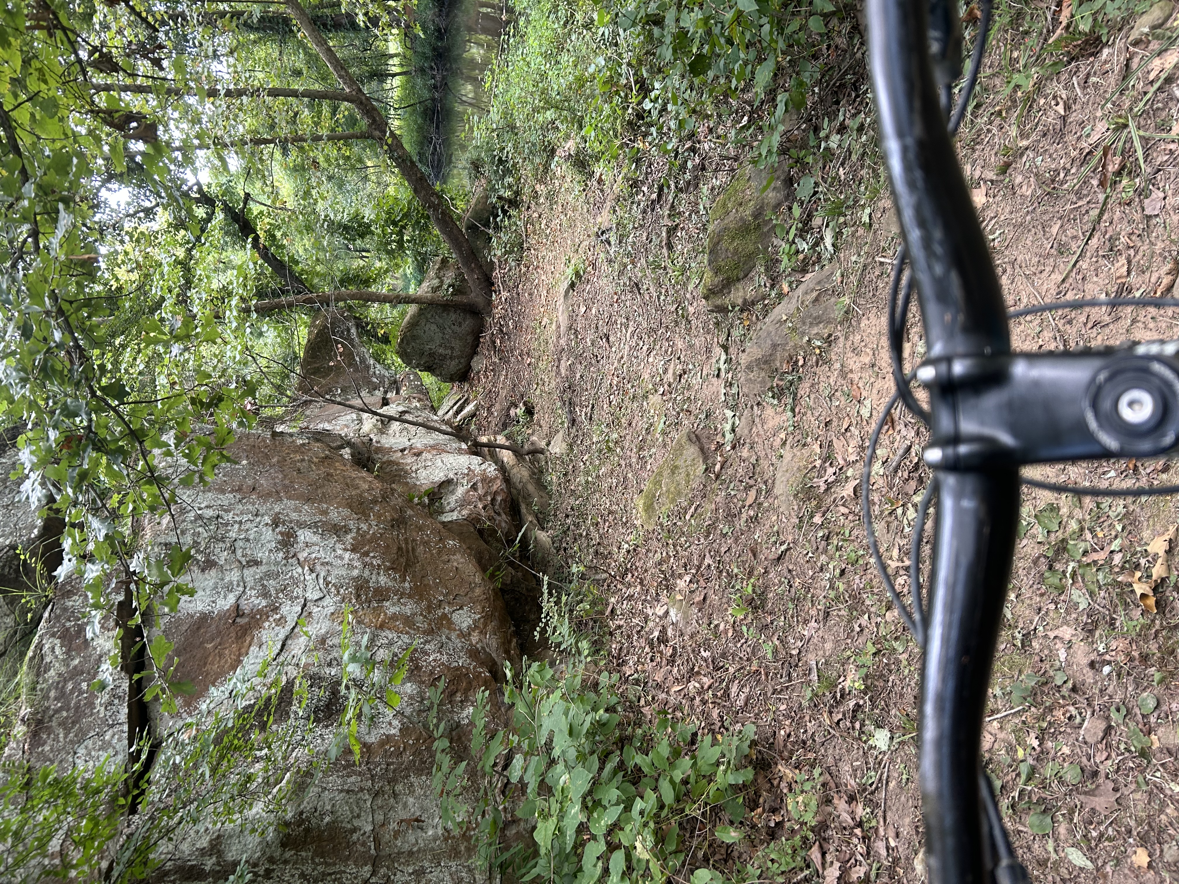 Trail status picture
