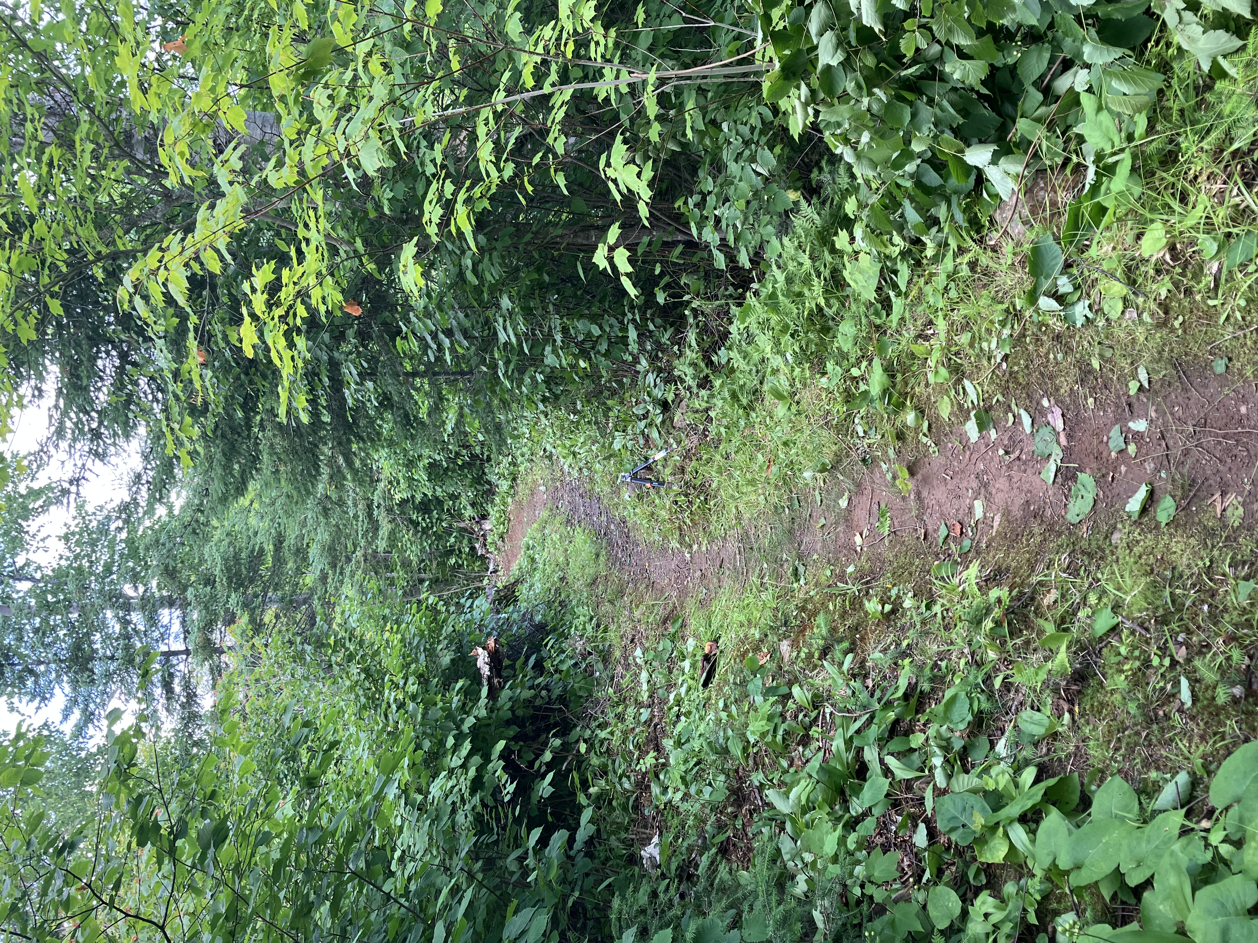 Trail status picture