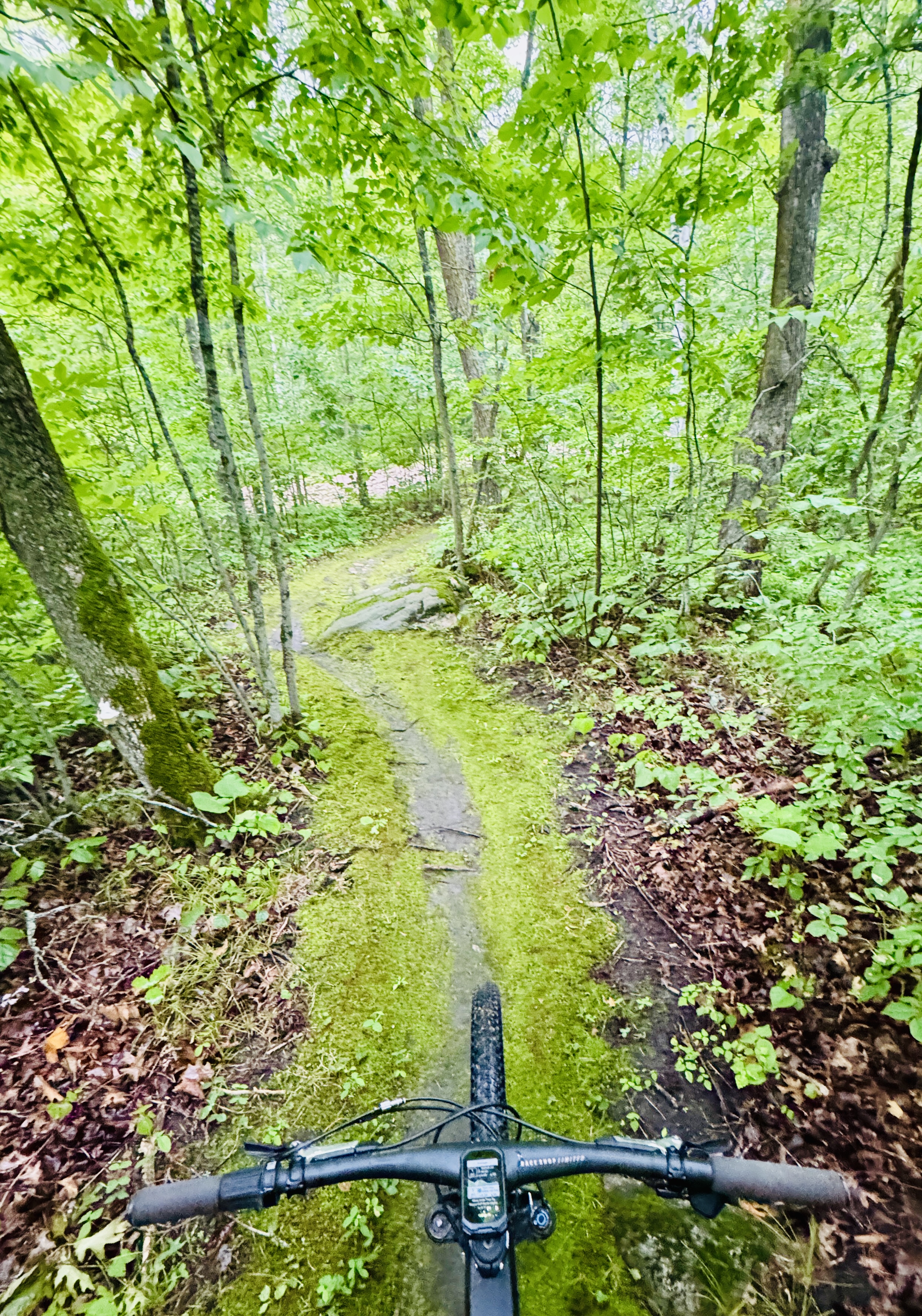 Trail status picture