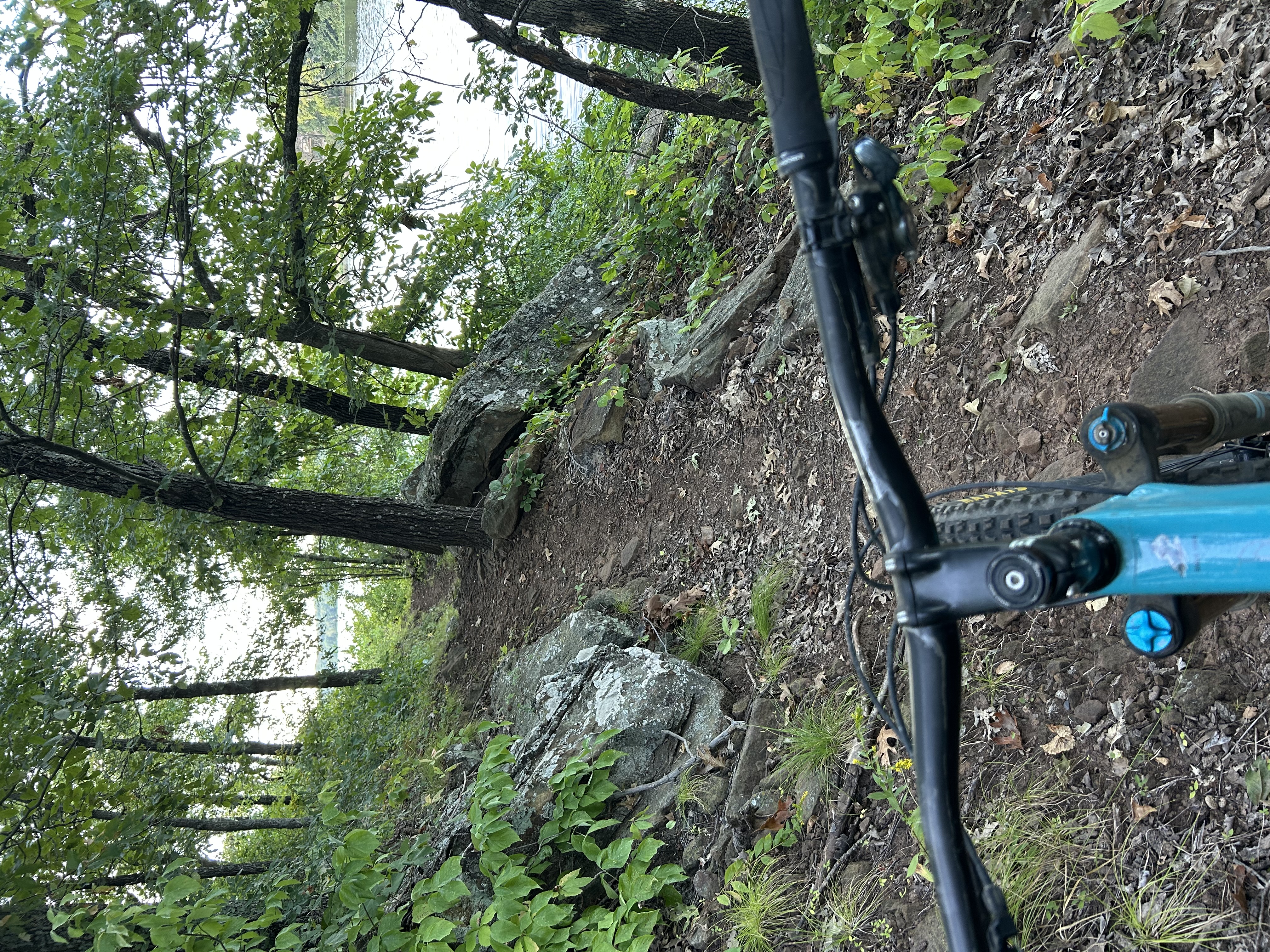 Trail status picture
