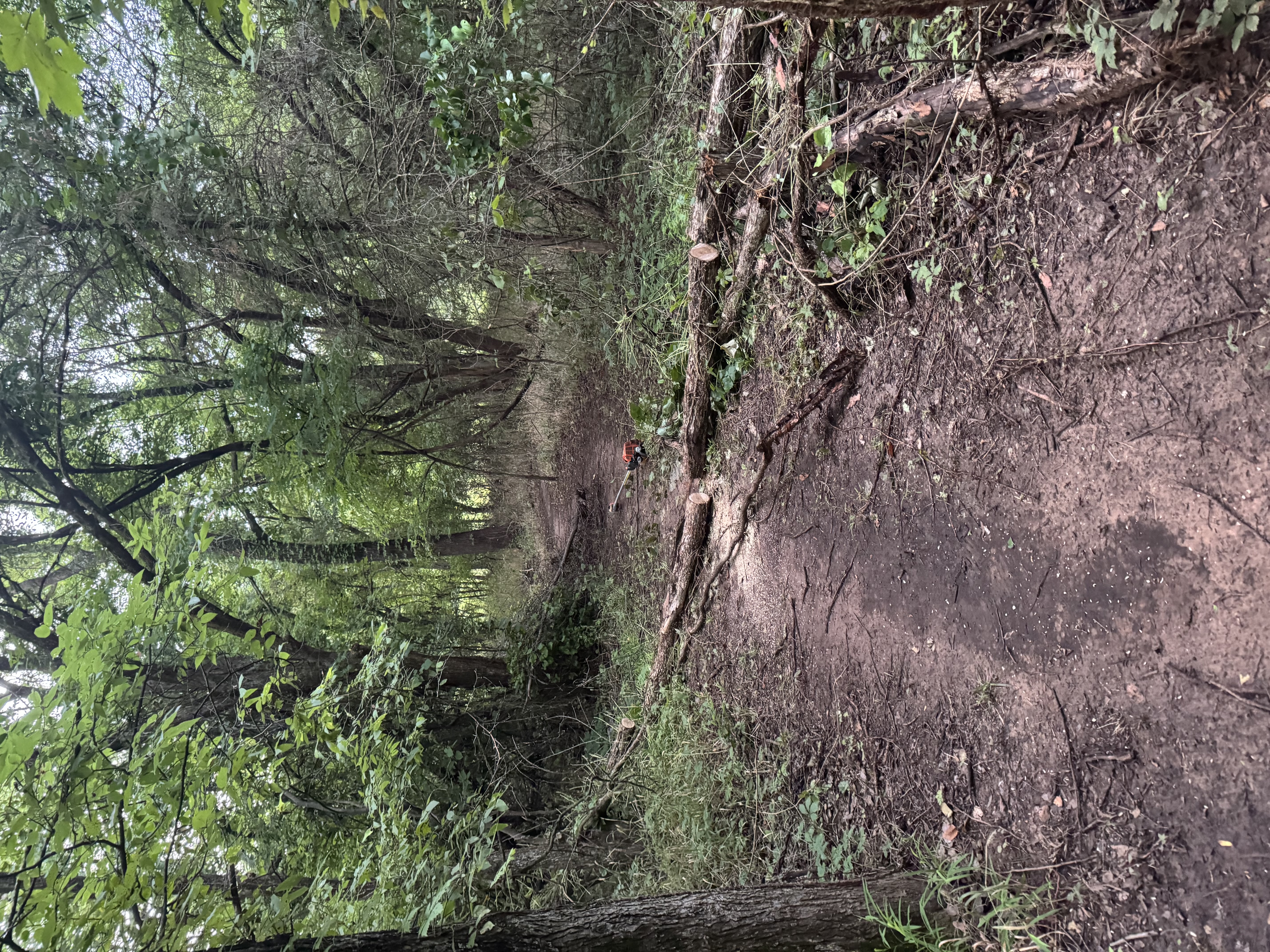 Trail status picture