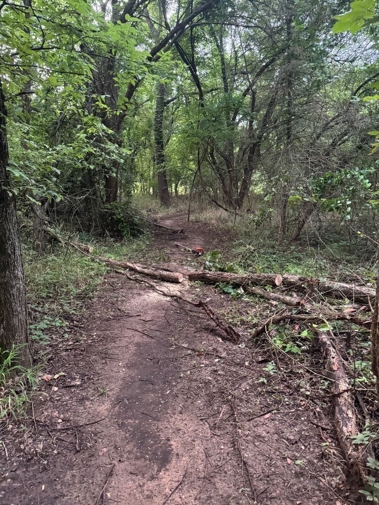 Trail status picture