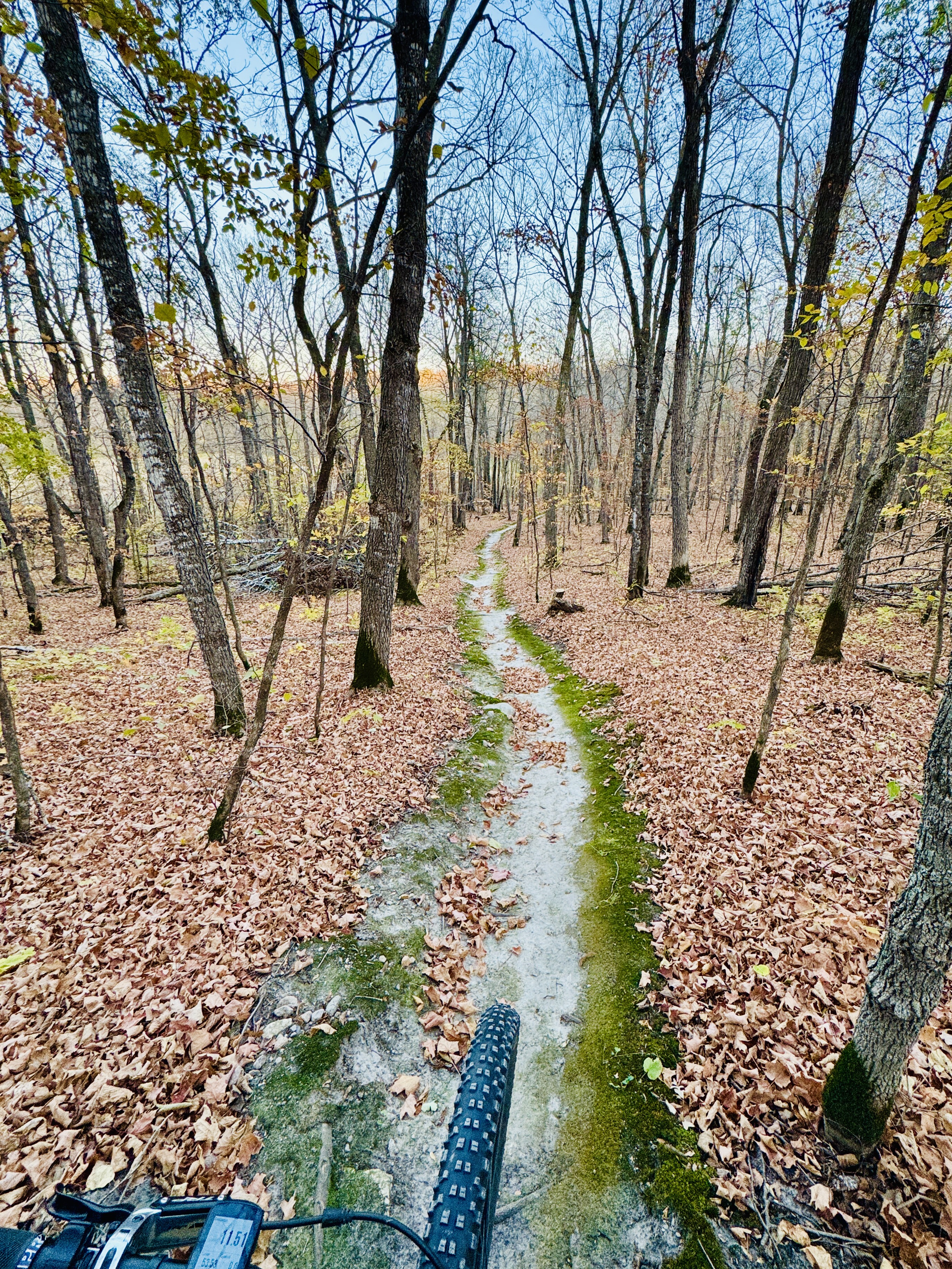 Trail status picture