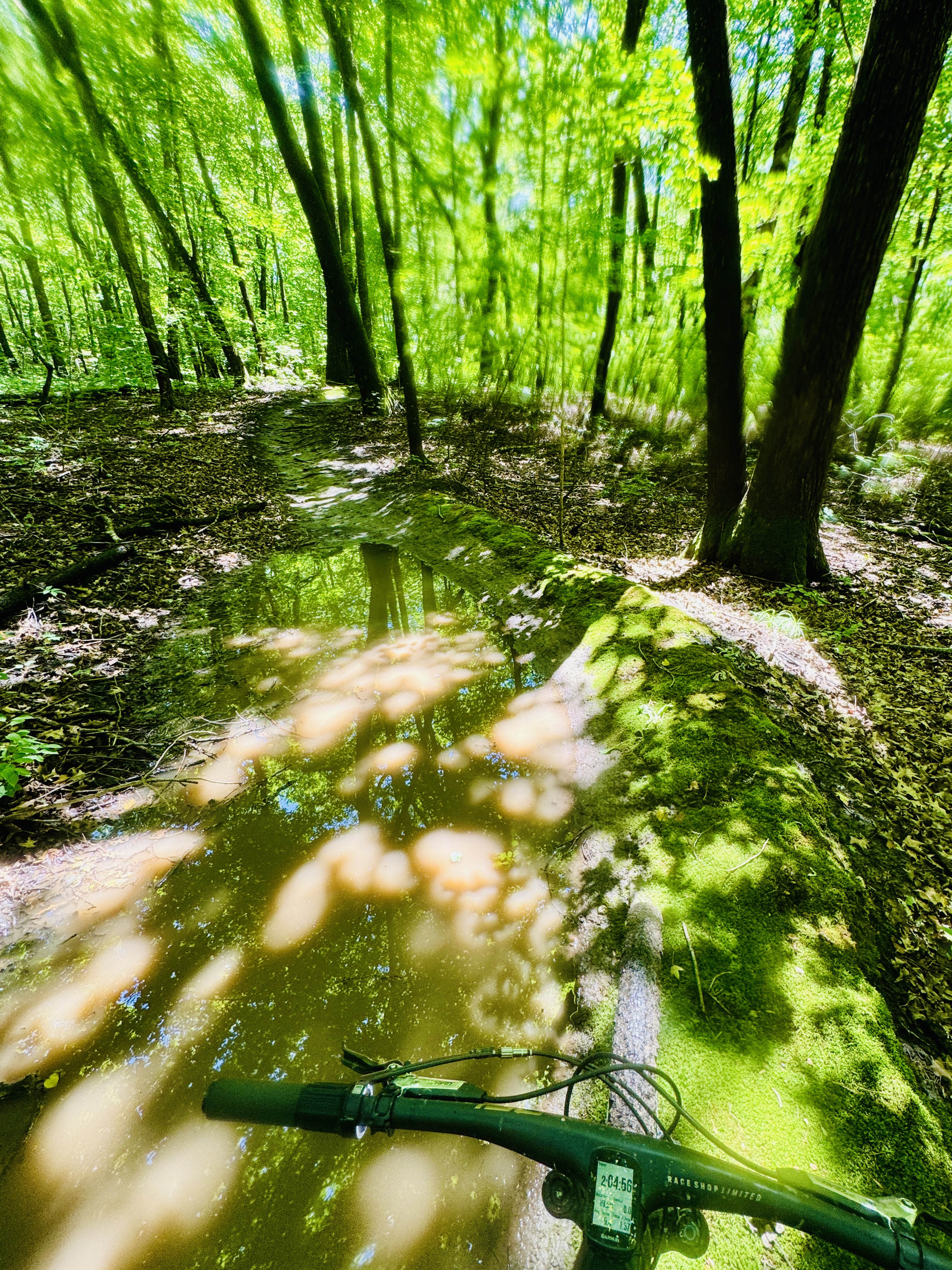 Trail status picture