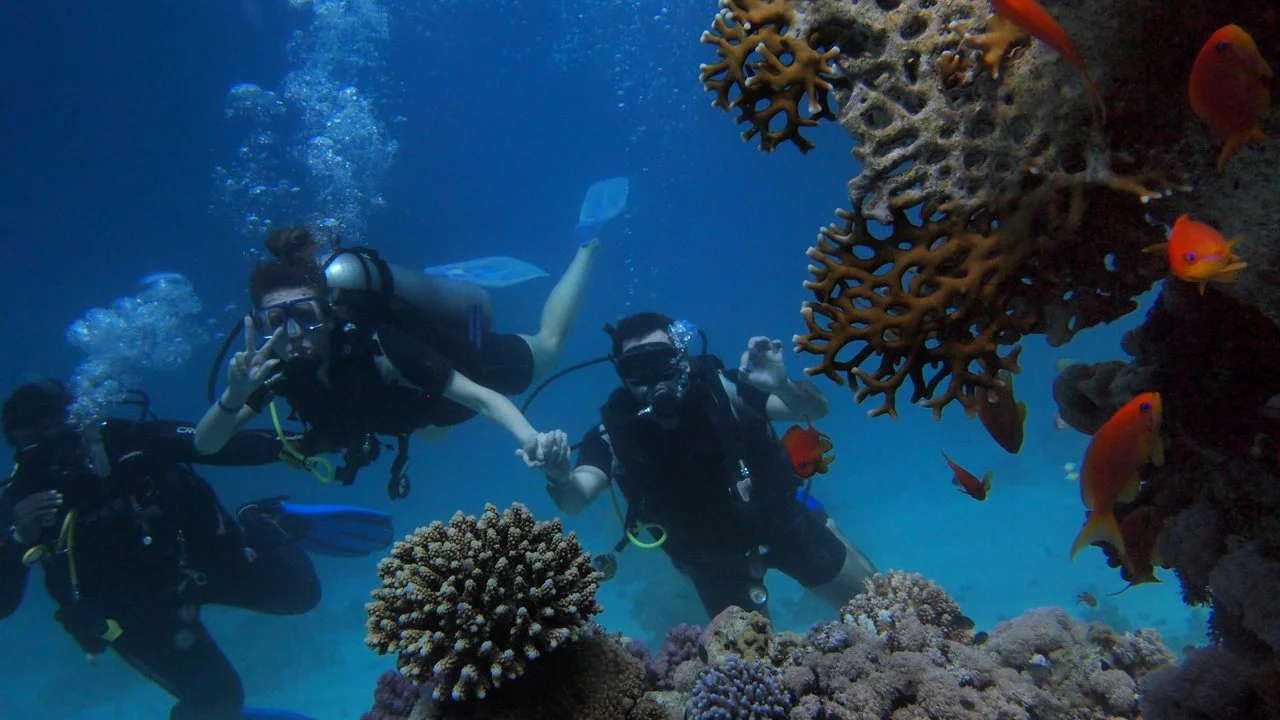 Scuba Diving in the Andaman Islands