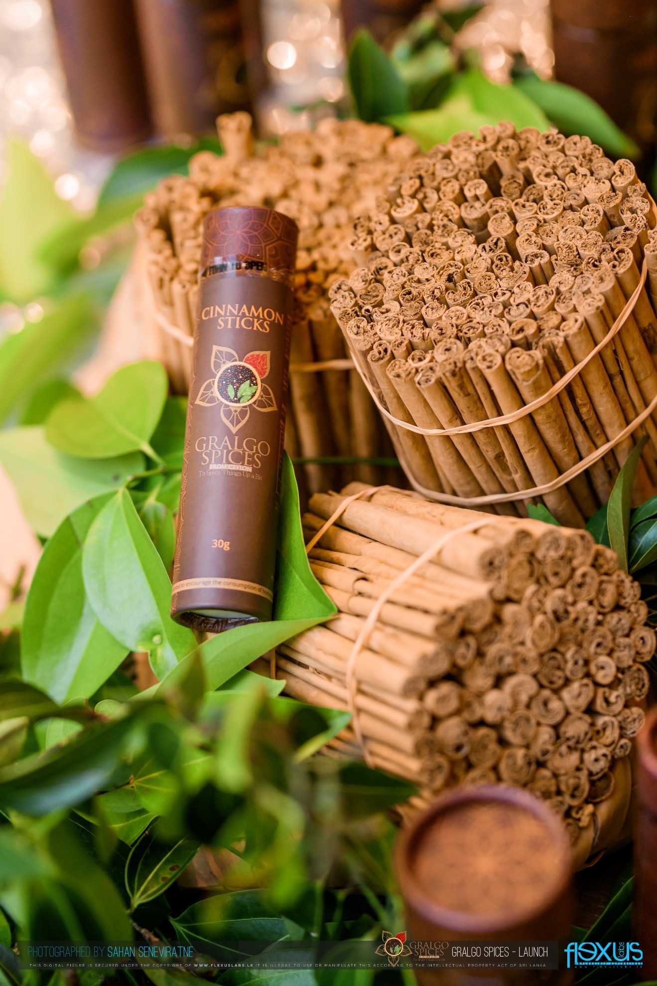 Ceylon Cinnamon Story (Part 1): Understanding Authenticity in the Market