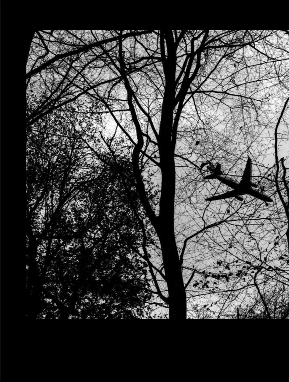 Marco Inzerillo Photography — page 14