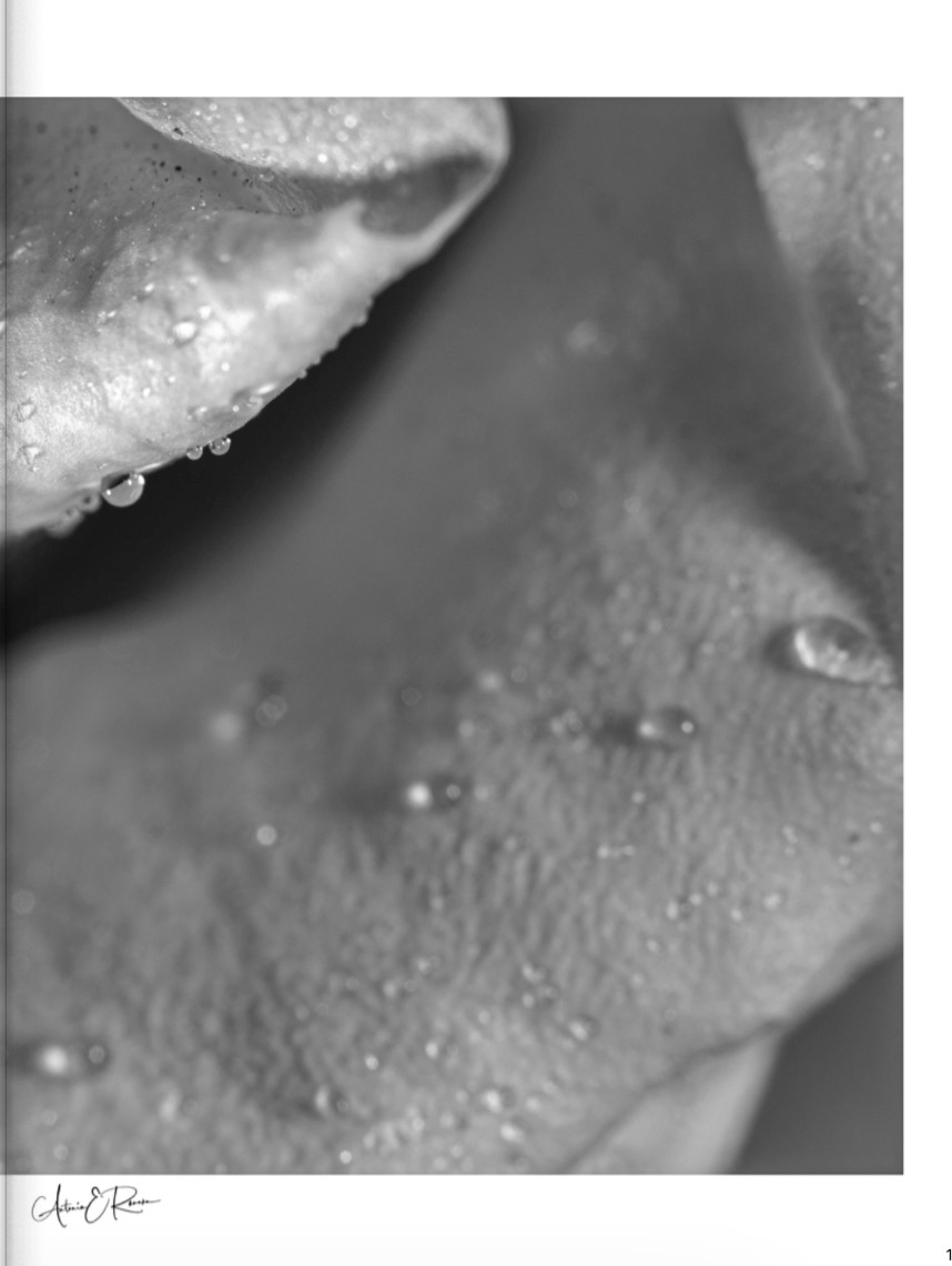 PDF PROMO VIDE JAN 15 — page 10