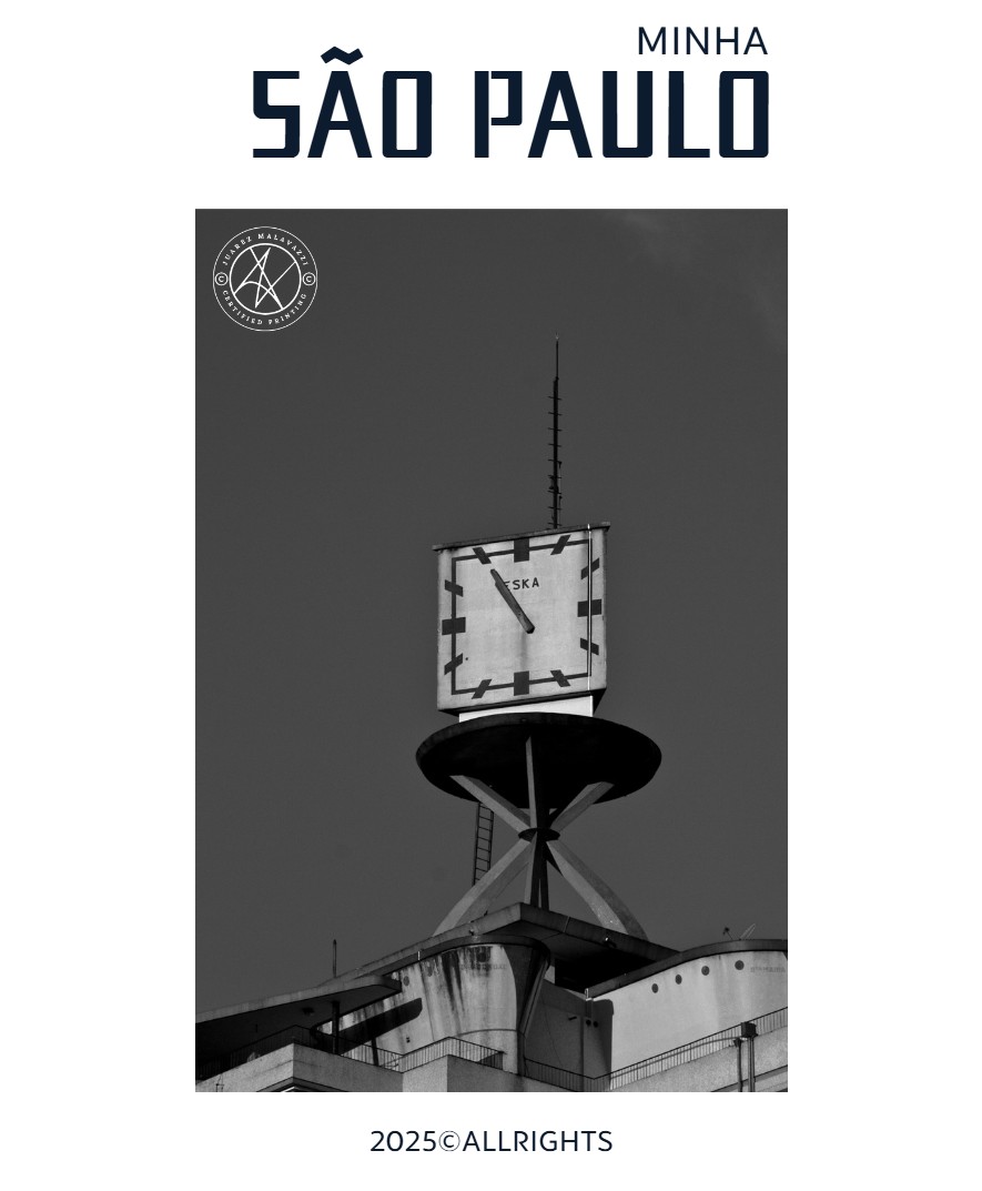 Minha São Paulo — page 12