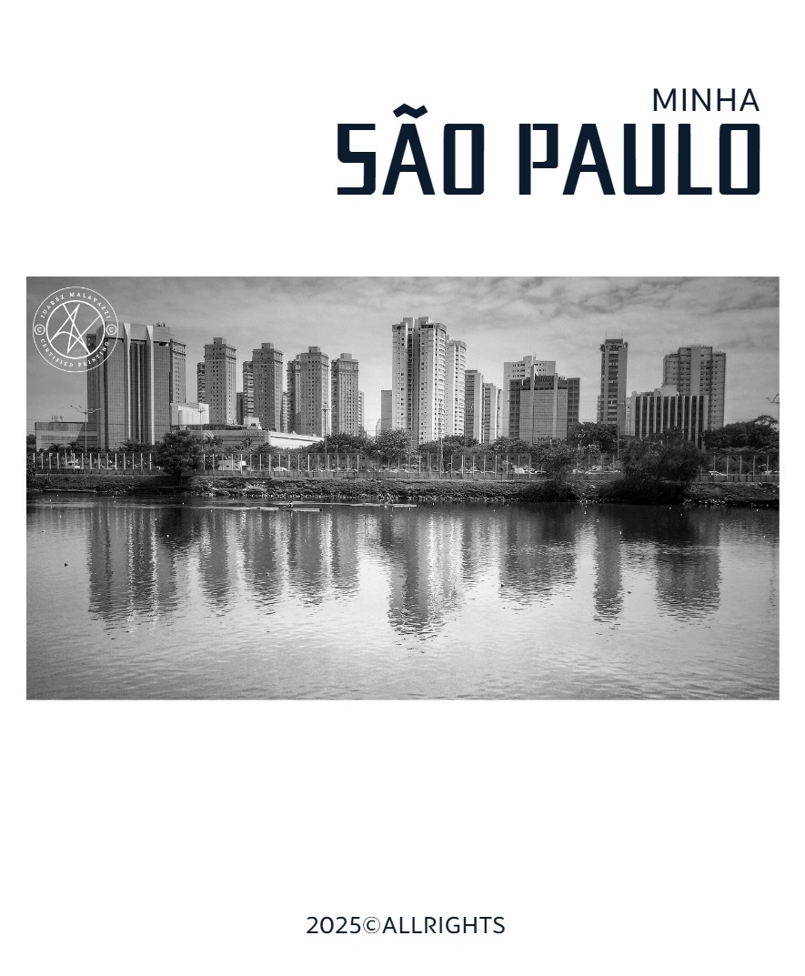 Minha São Paulo — page 17