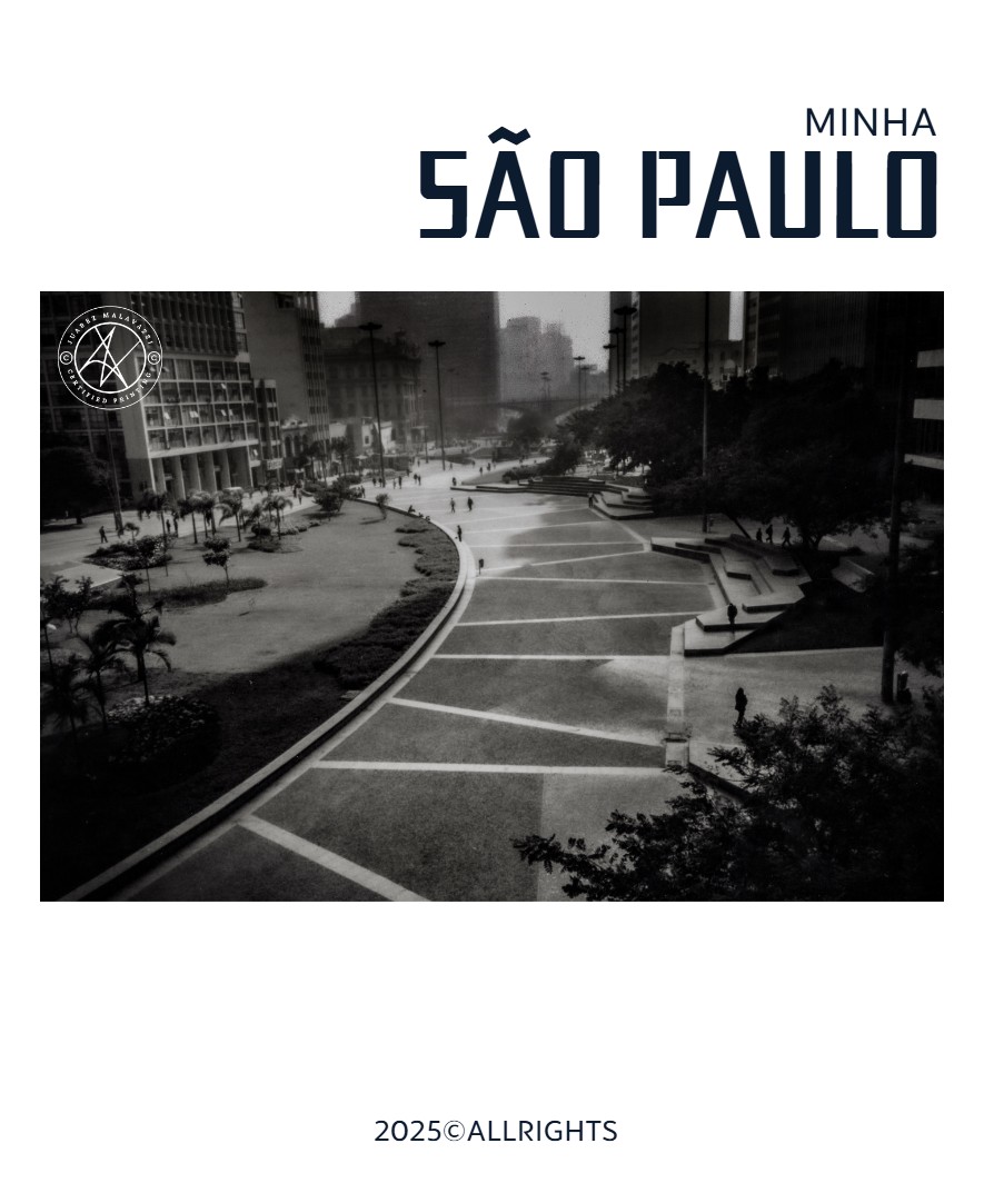 Minha São Paulo — page 33