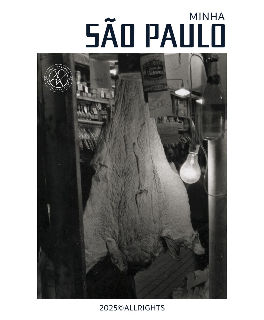 Minha São Paulo — page 41