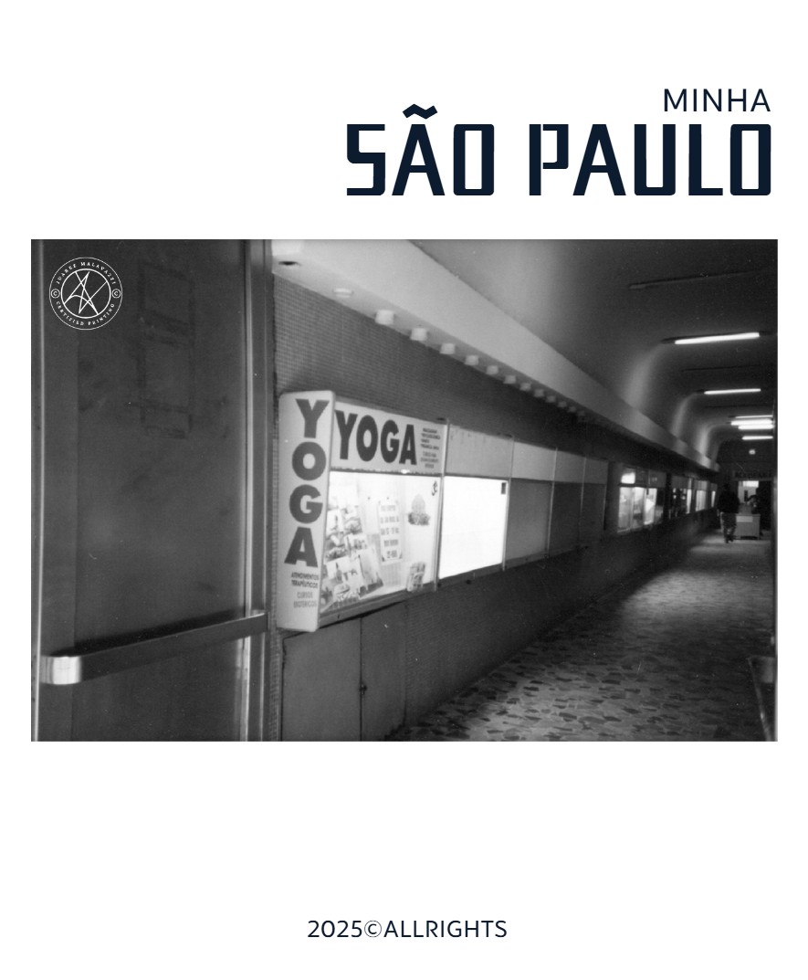 Minha São Paulo — page 43