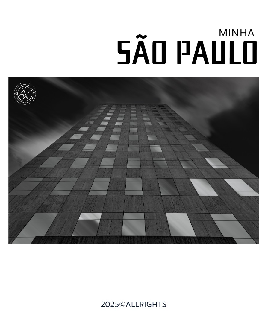 Minha São Paulo — page 49