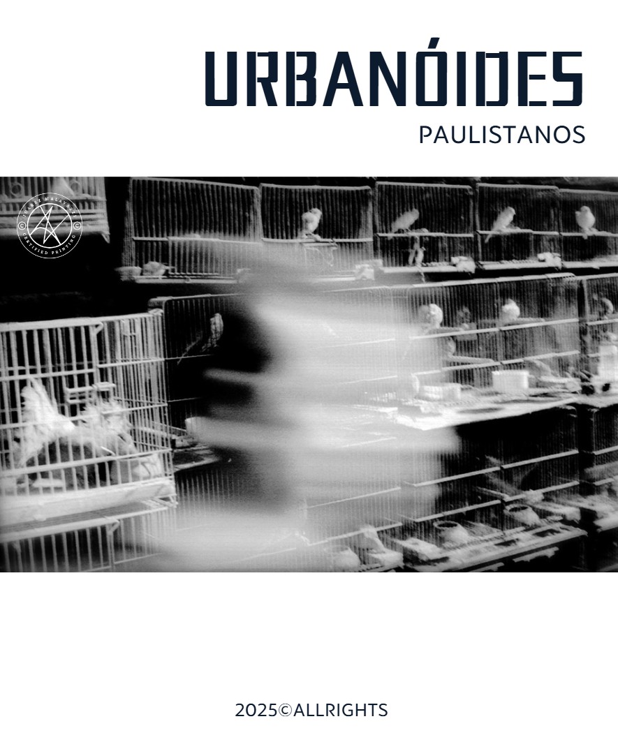 Minha São Paulo — page 52
