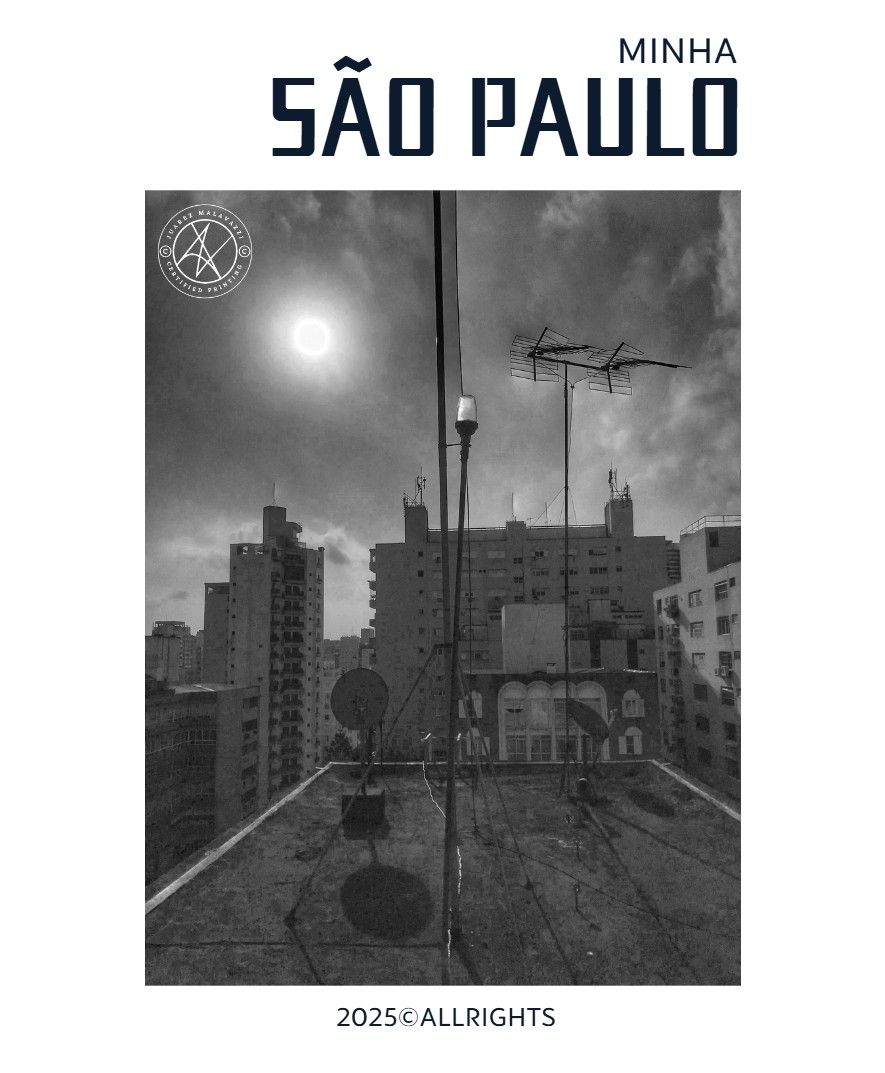 Minha São Paulo — page 8