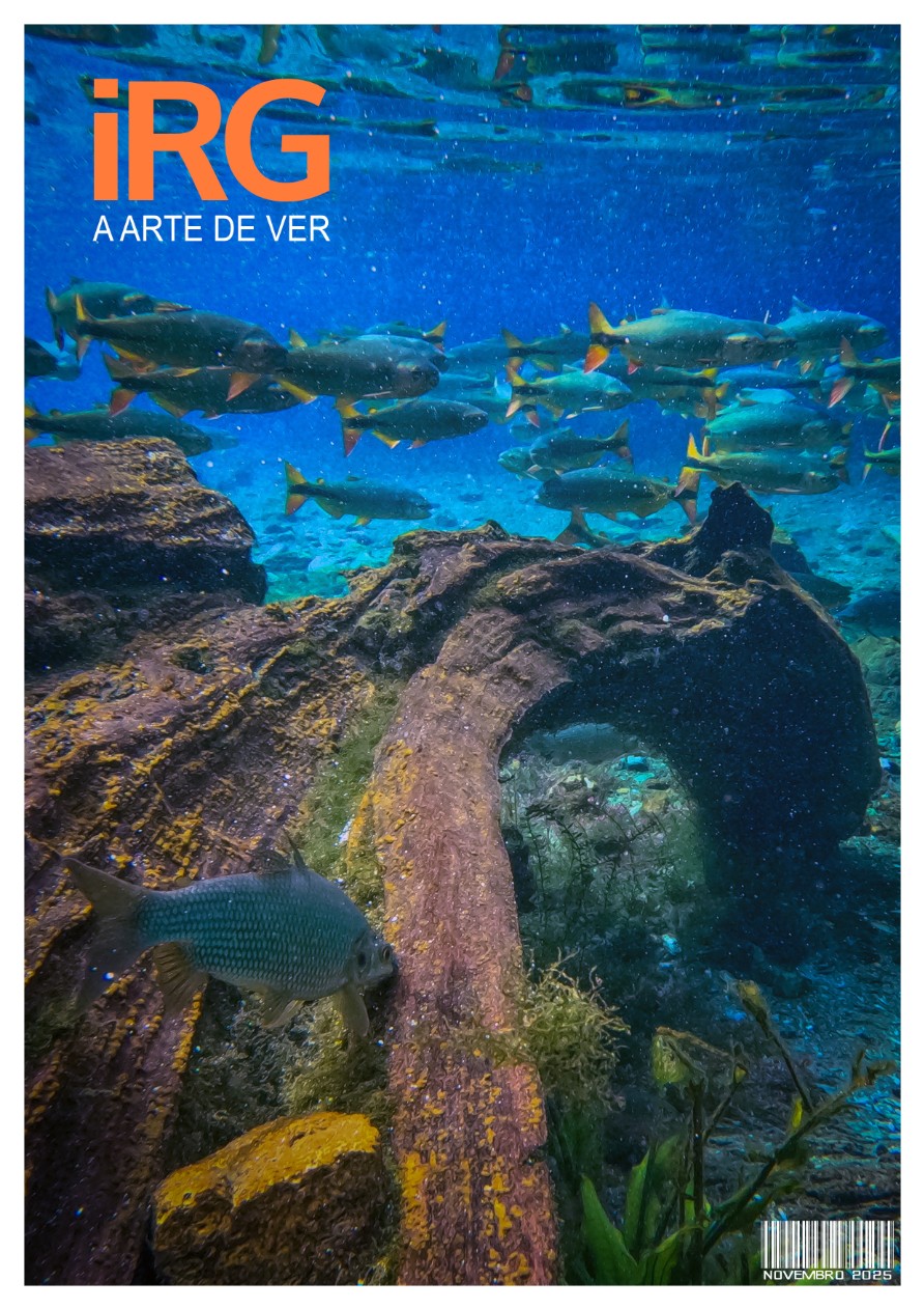 20260111_Nascenteazul