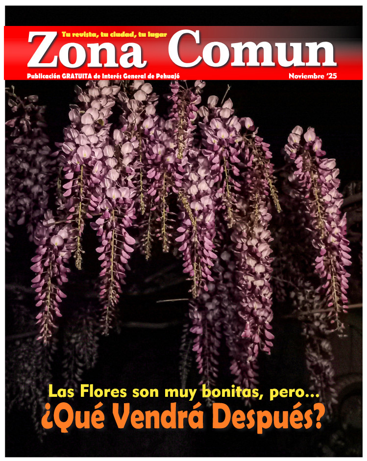 Zona Comun 116 Noviembre